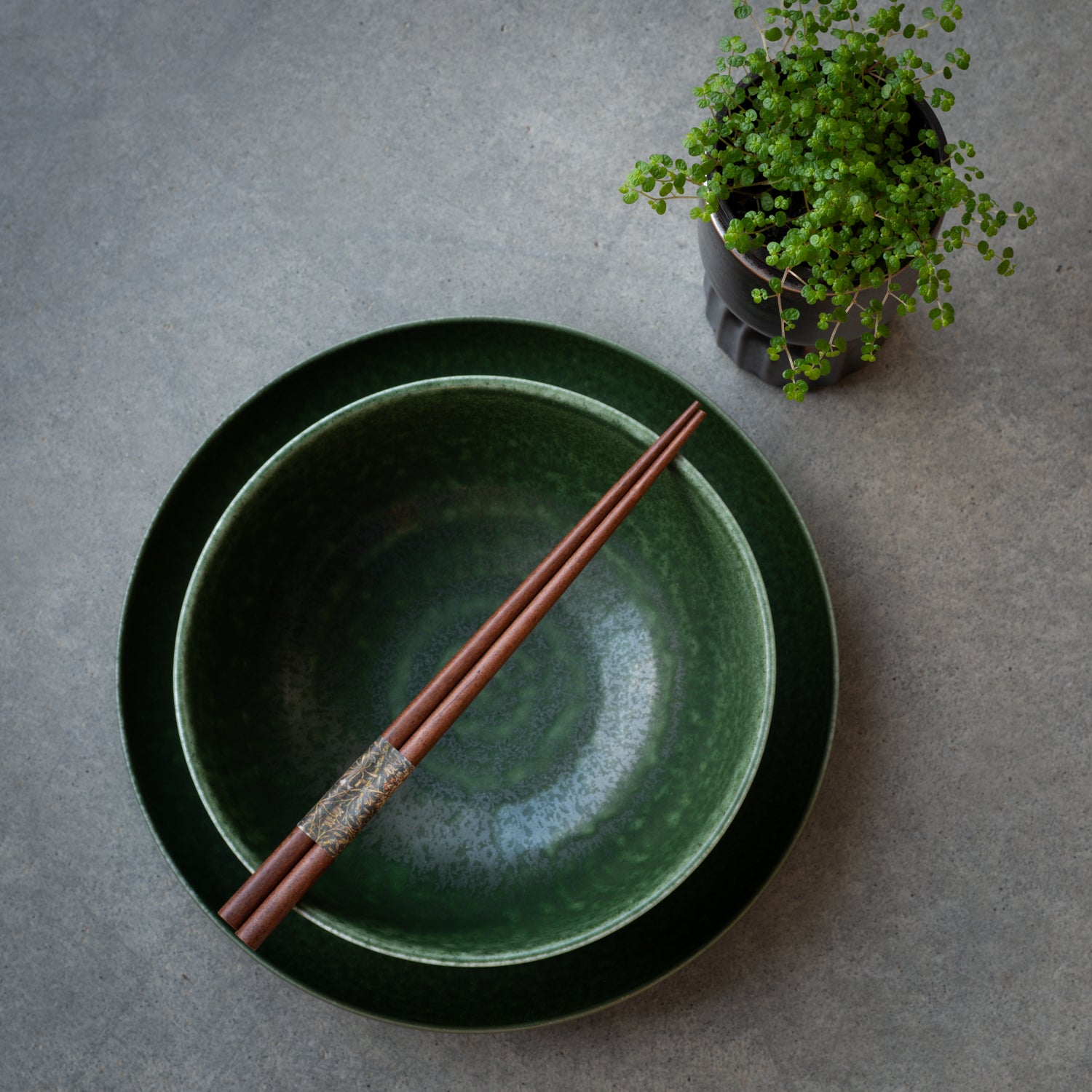 Japanese Ceramics NZ | Japanese Noodle bowls with chopsticks and baby tears plant | Folklore NZ Japanese ceramics