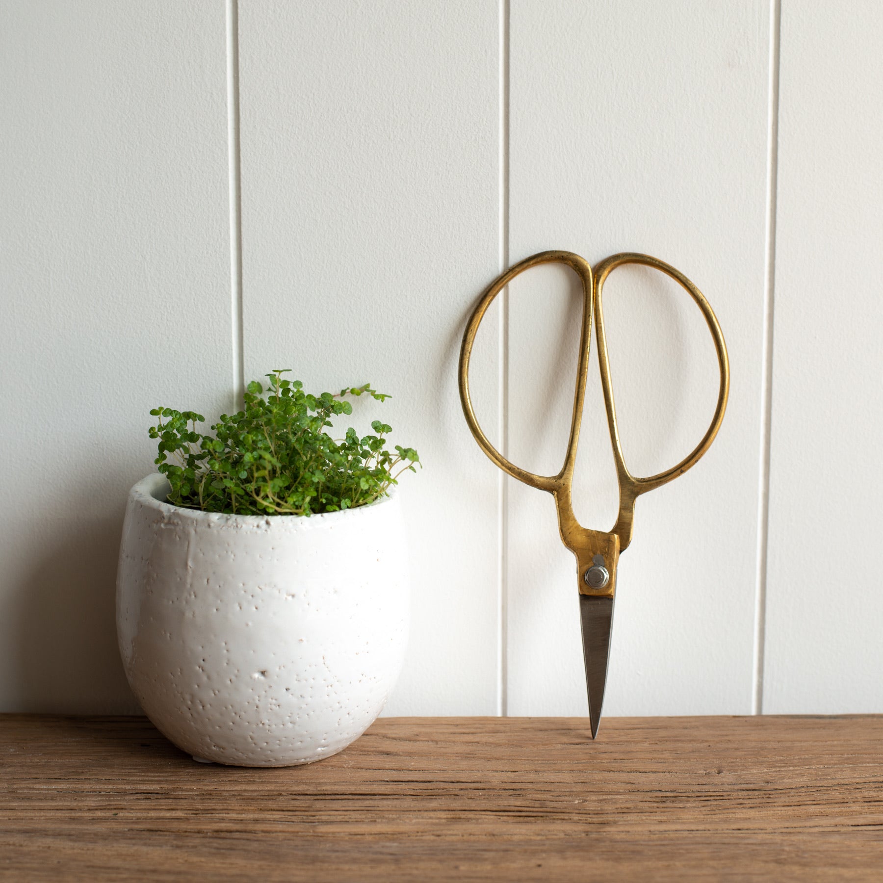 Planters, Pots + Accessories