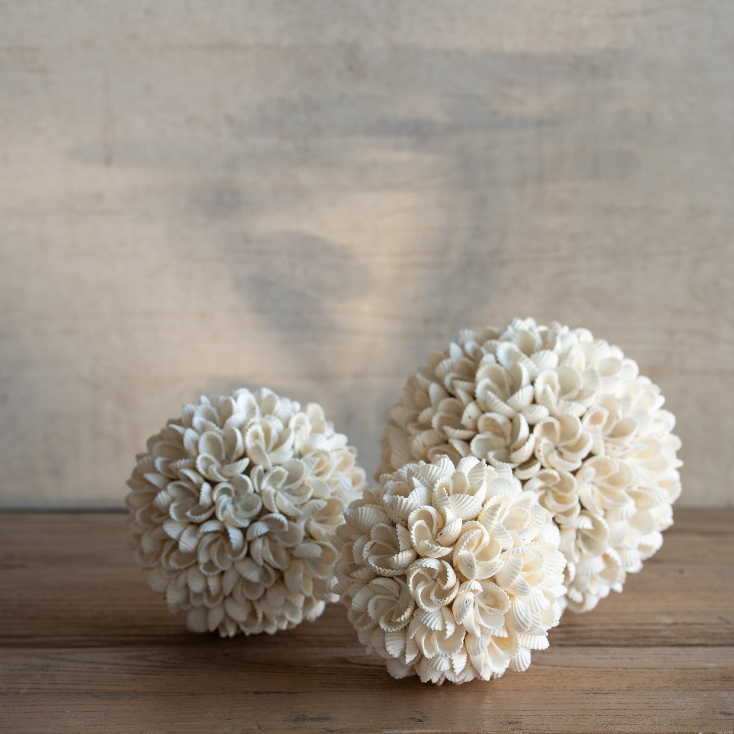Shell Ornaments + Shell Decorations By Folklore Homewares + Design NZ | This photo: three shell ball ornaments in side lighting with interesting background pattern