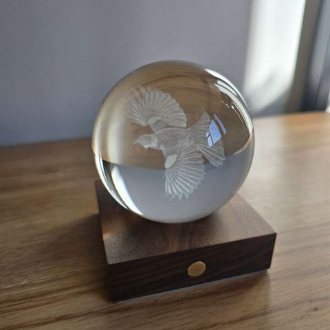 3D Laser Engraved Light | Tui