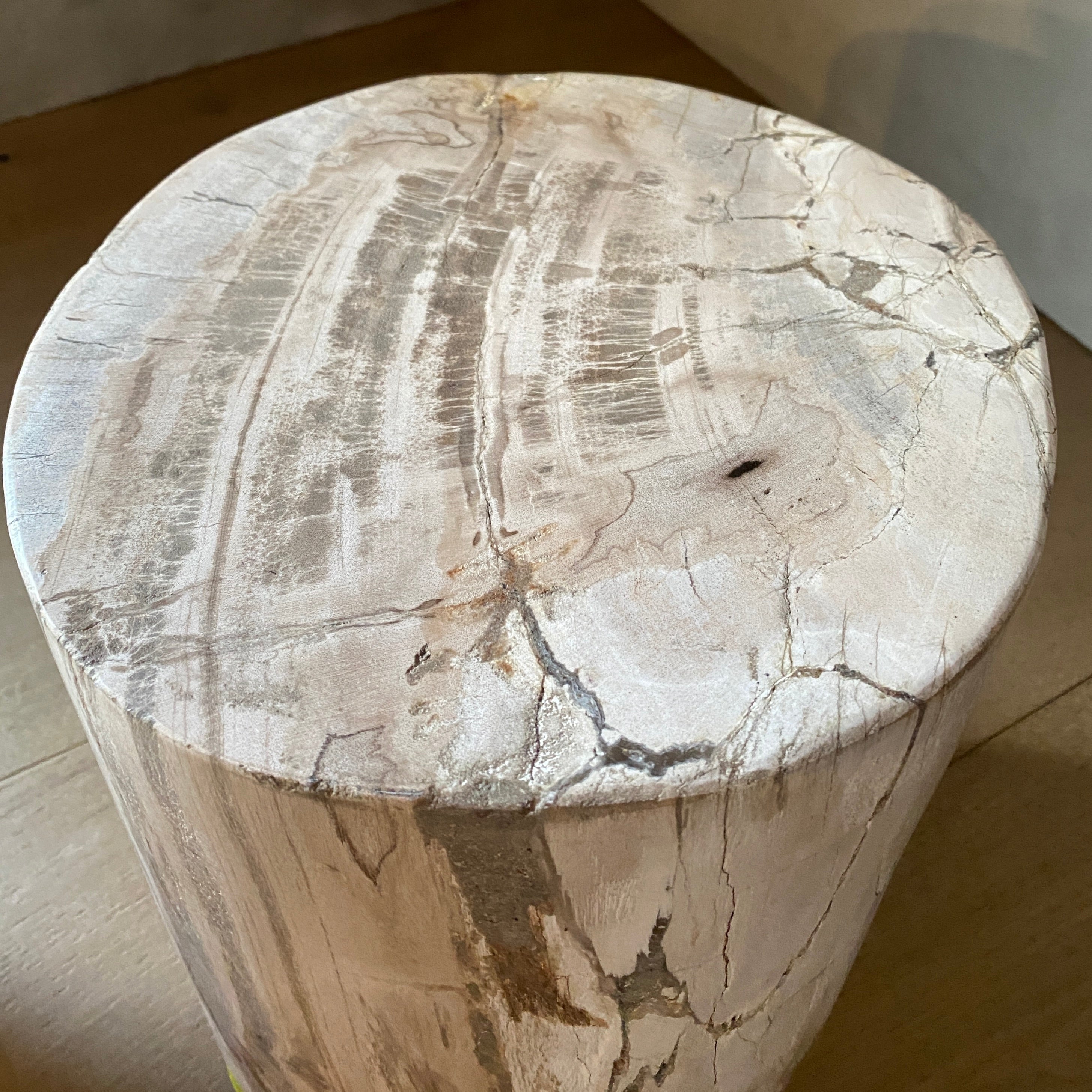 Petrified Wood Plinths | Matched Pair 'G'