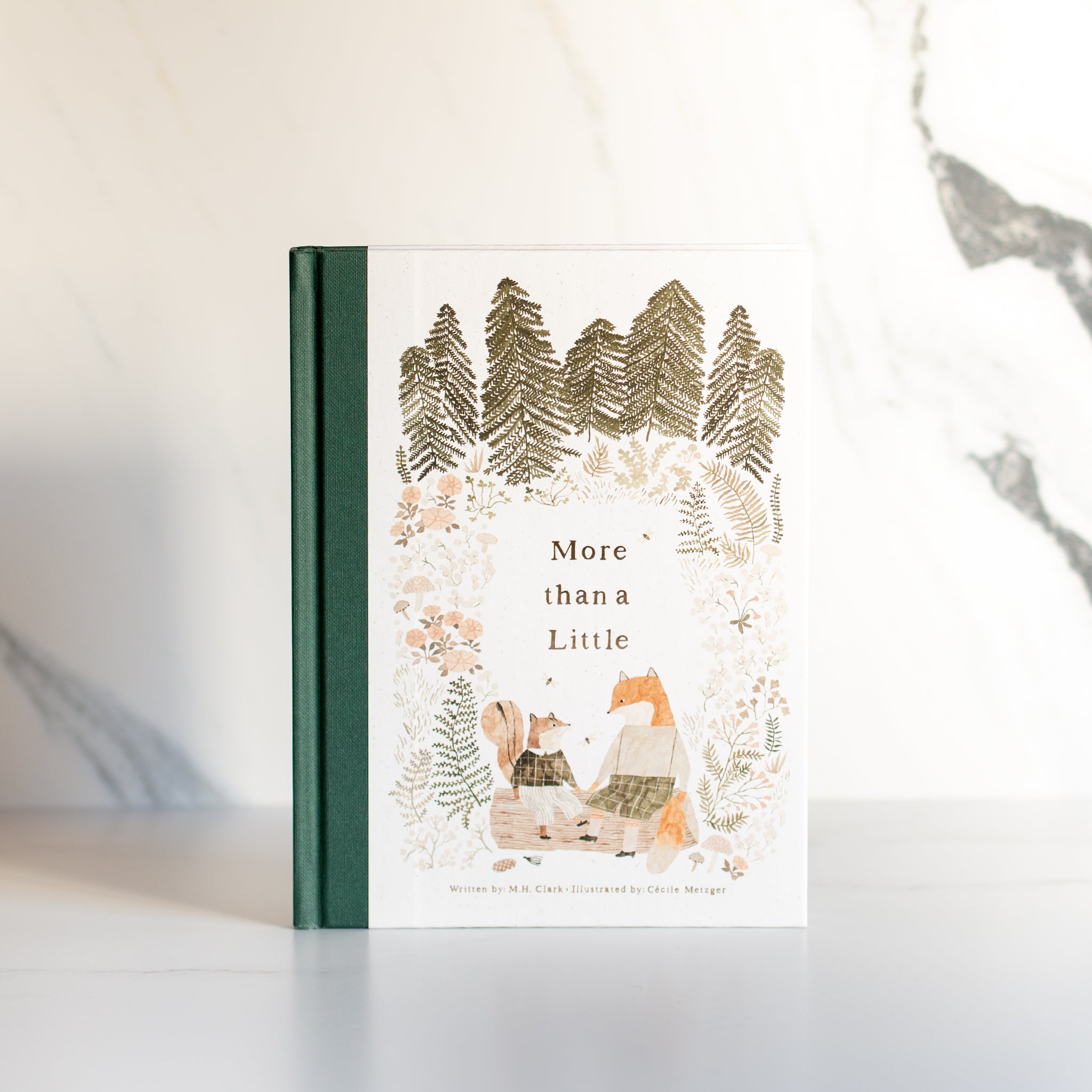 Book | More Than A Little