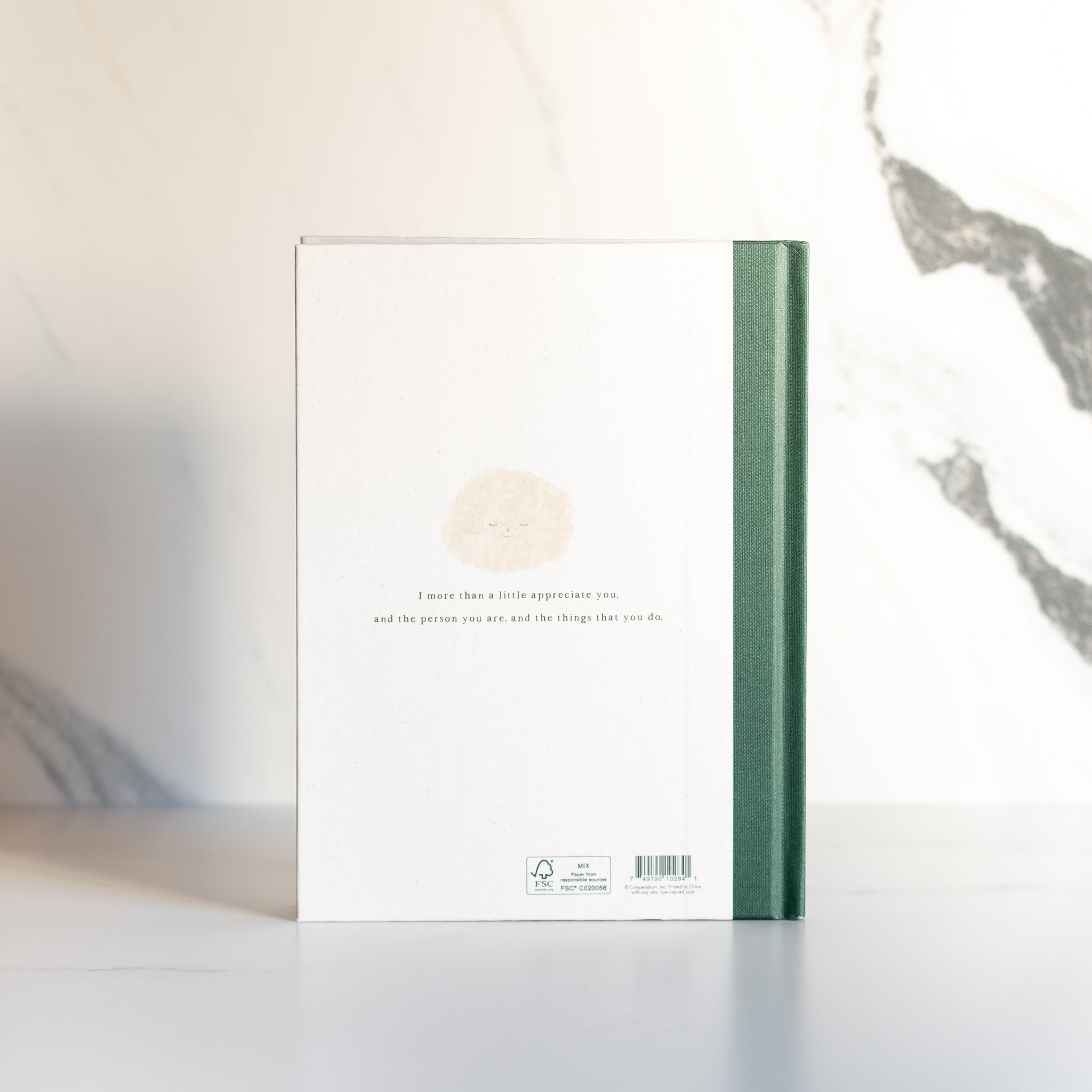 Book | More Than A Little