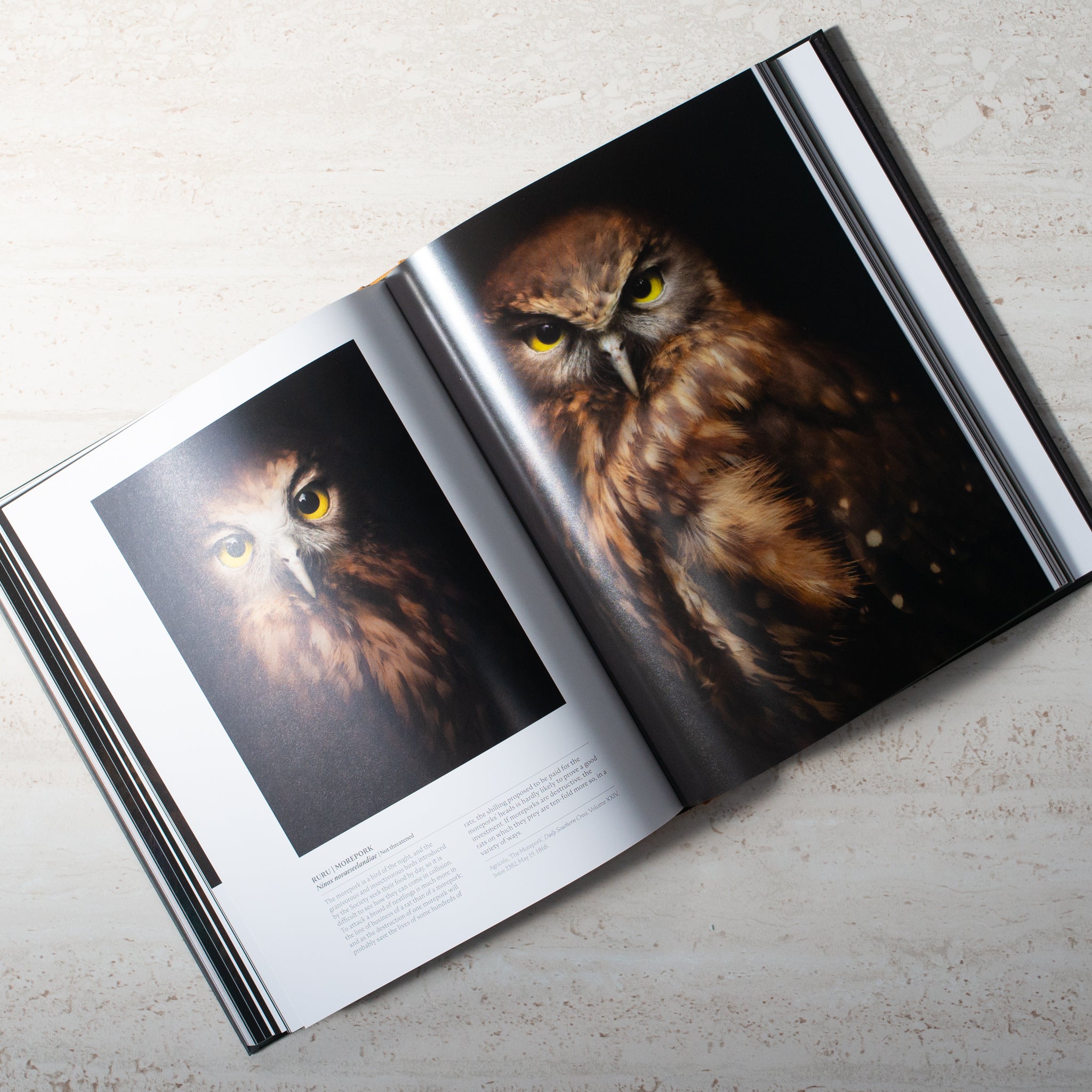 Book | The Long Shadow