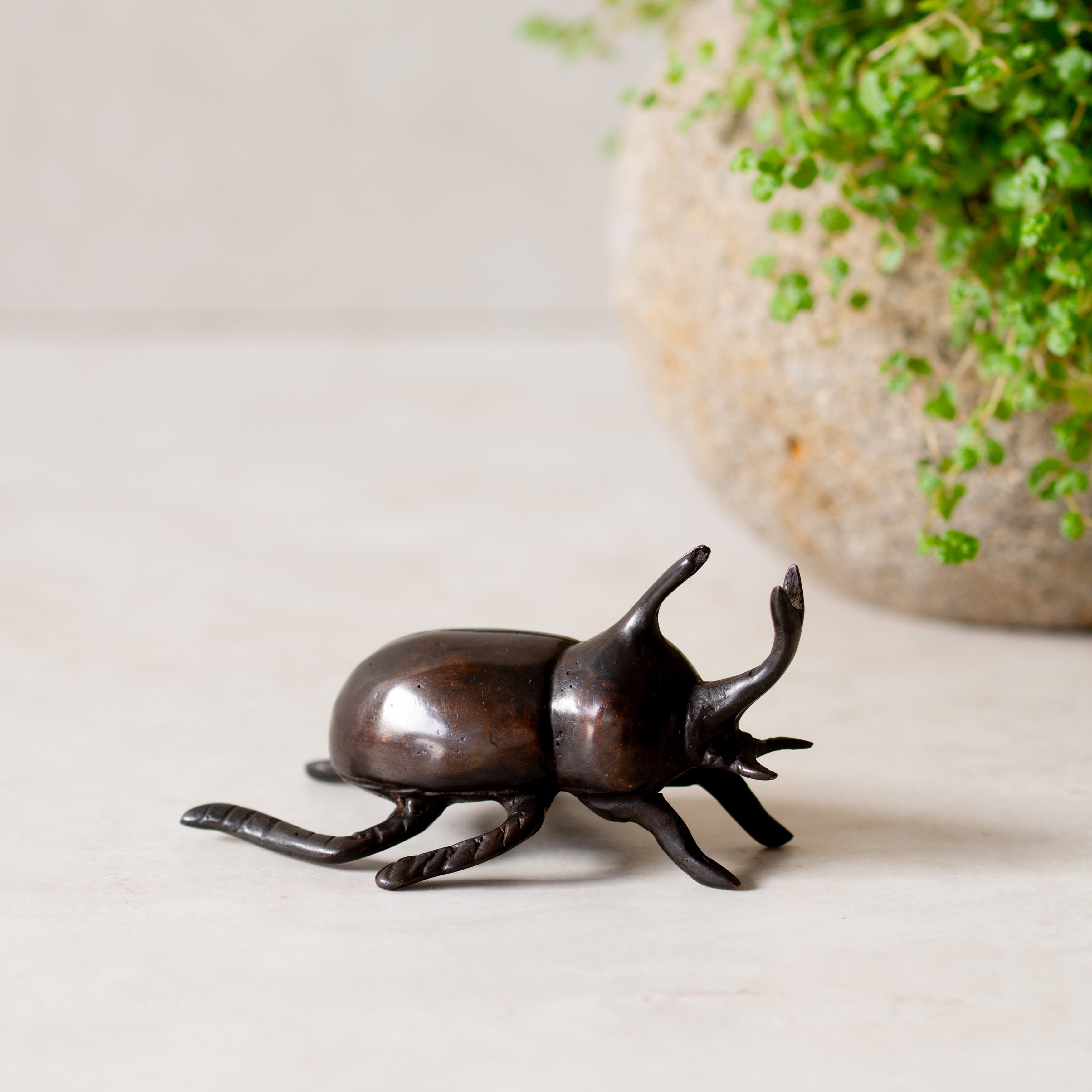 Bronze Rhino Beetle | Antique Finish