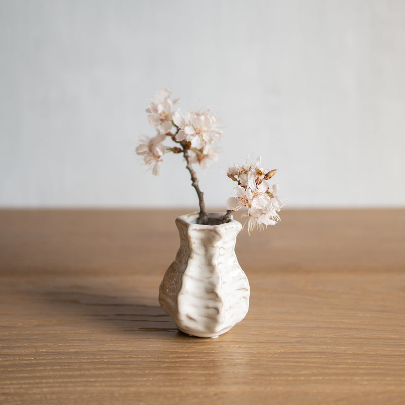Ceramic Shell Vase | White