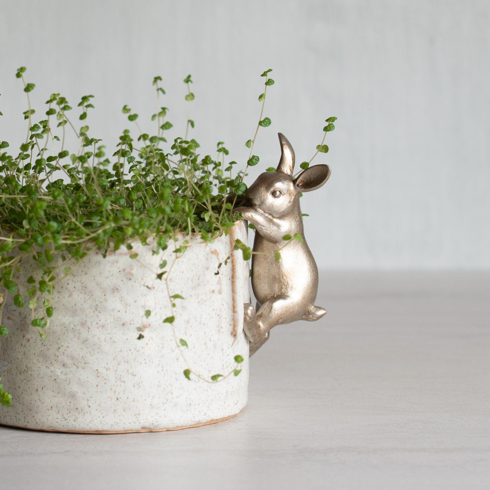 Little Climbing Bunny | Single | Pewter