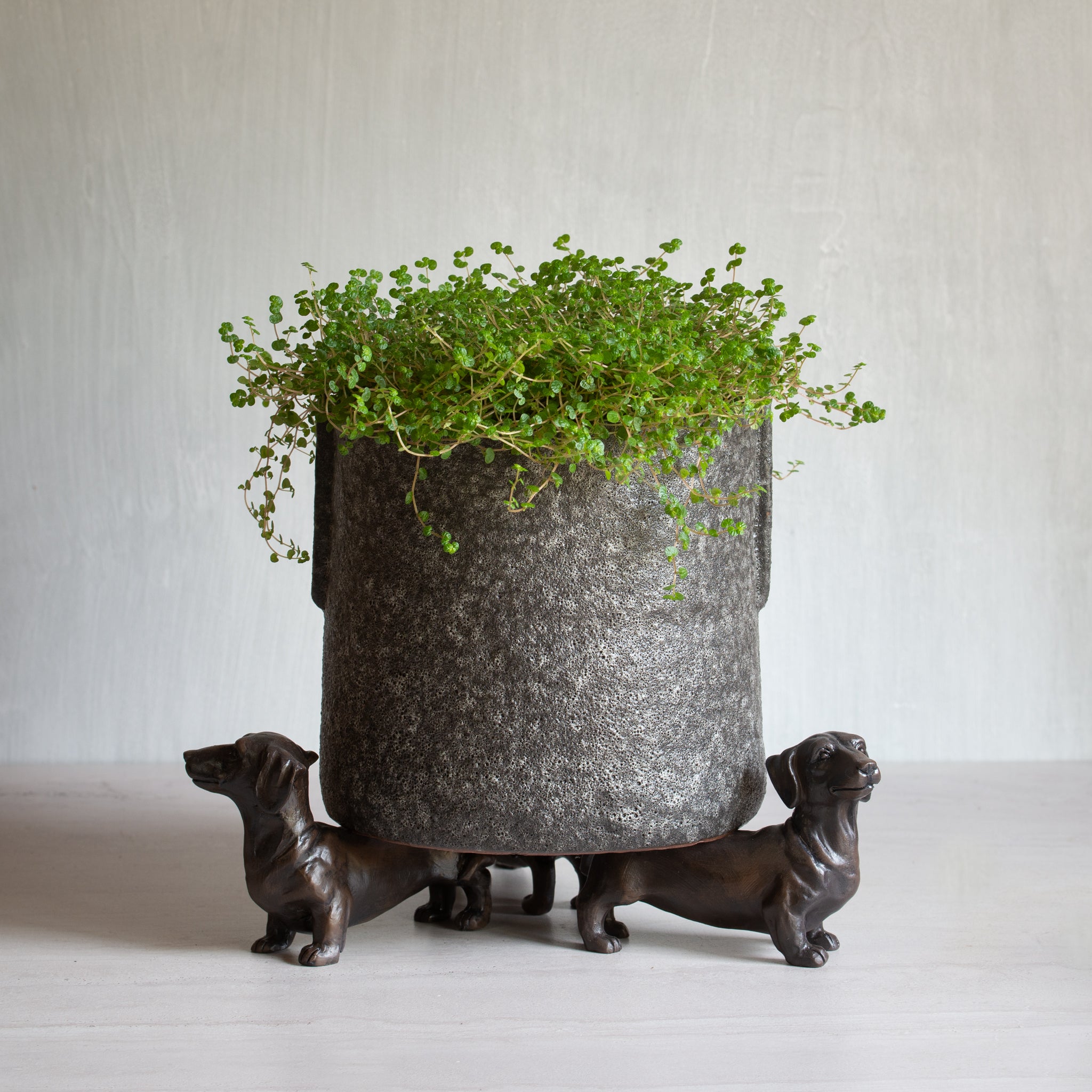Dachshund Pot Stand | Set of 3
