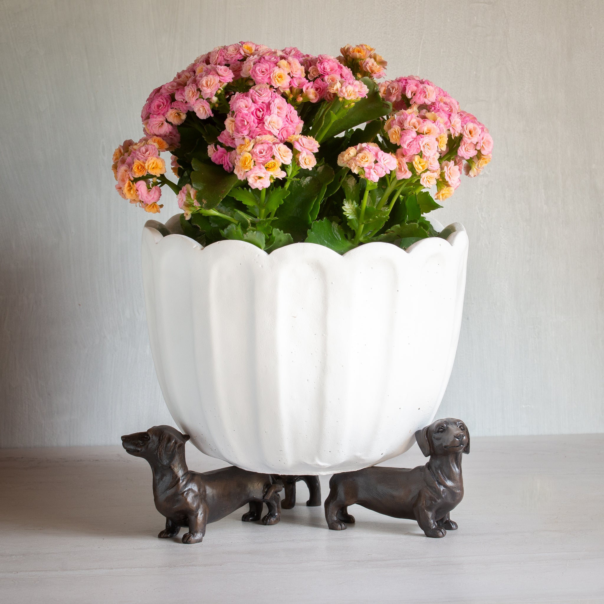 Dachshund Pot Stand | Set of 3