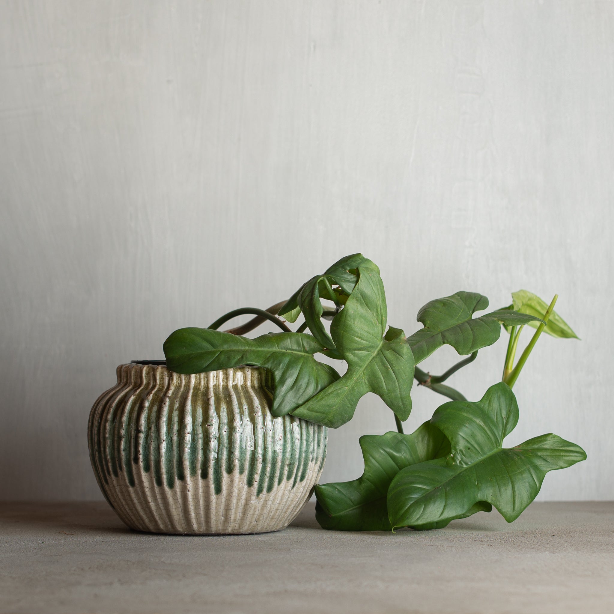 Eartha Ceramic Planter Pot | Olive/Teal | Medium