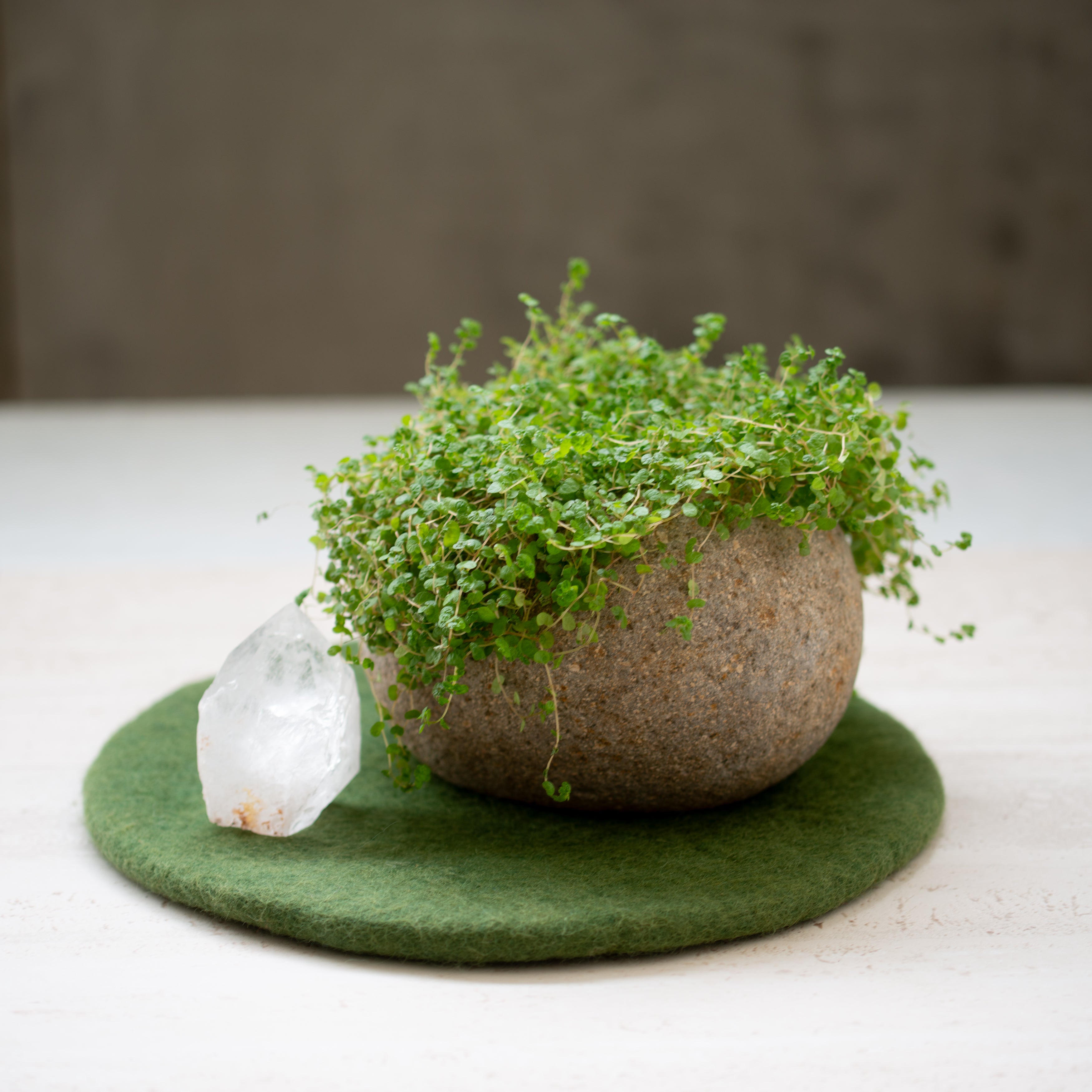 Felt Wool Placemat | Olive