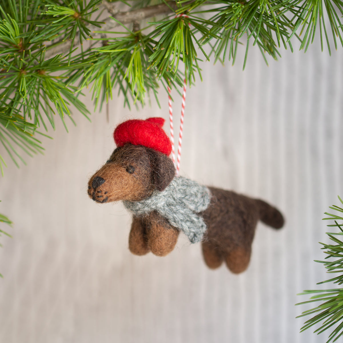 Felt Dachshund Decoration | Douglas
