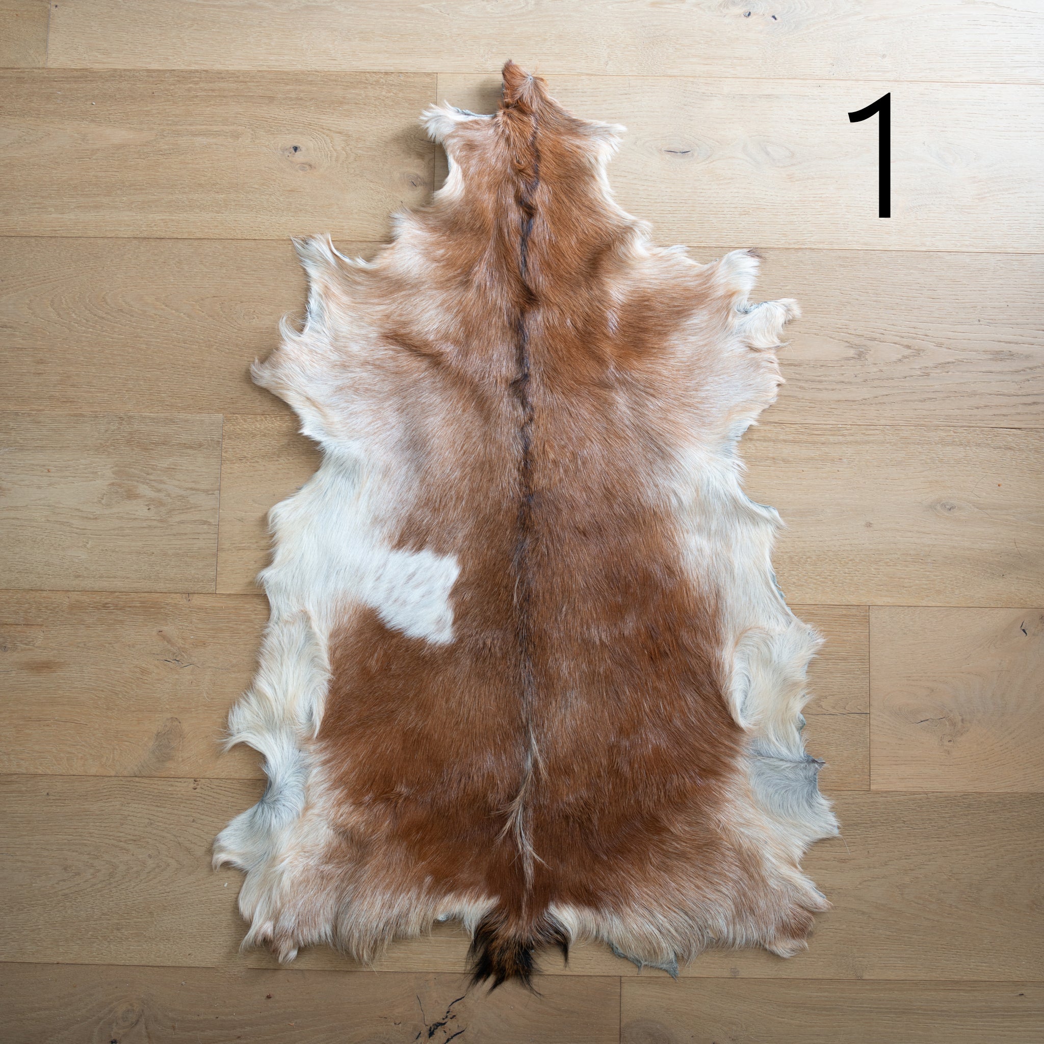 Goat Hide