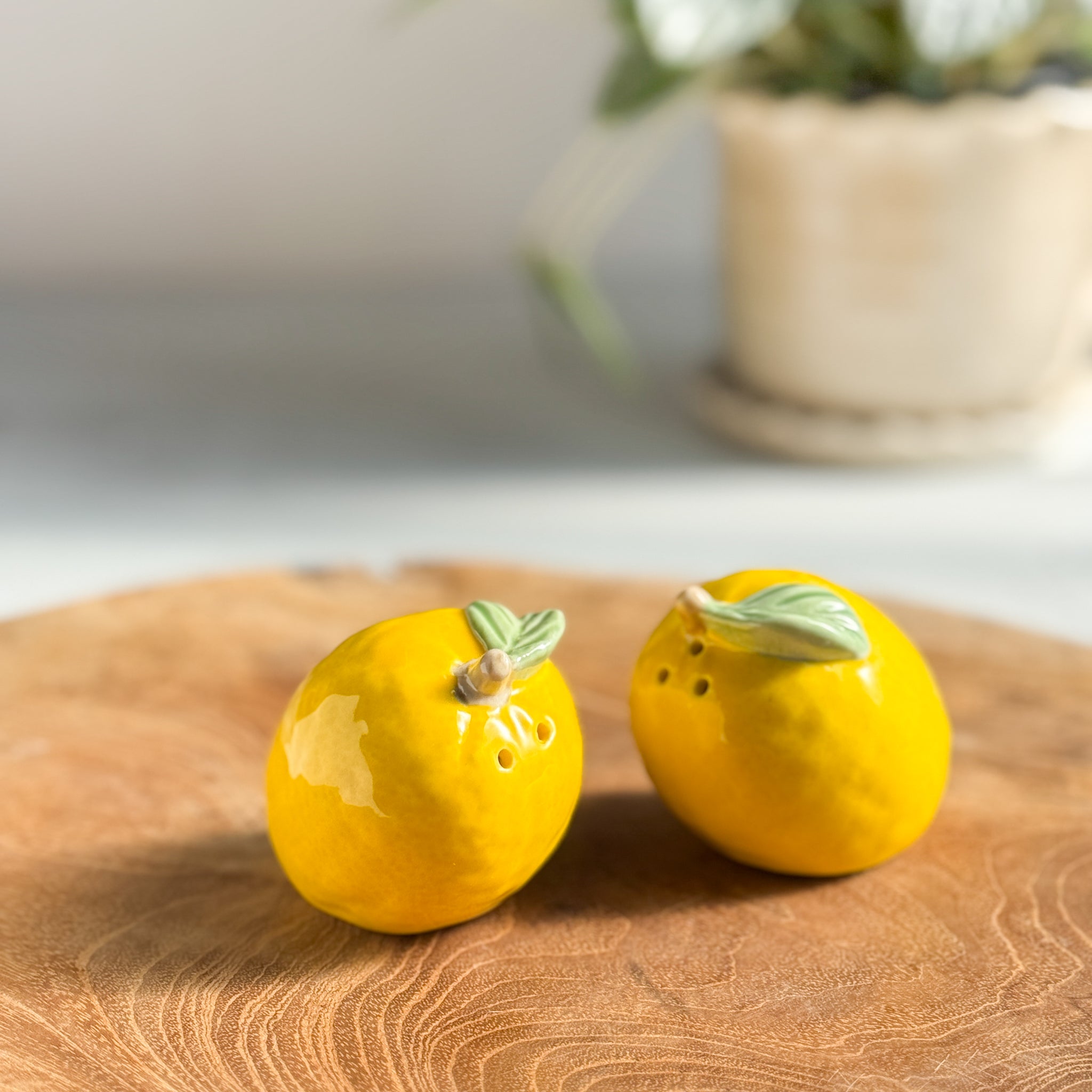 Ceramic Salt + Pepper Shakers | Limone