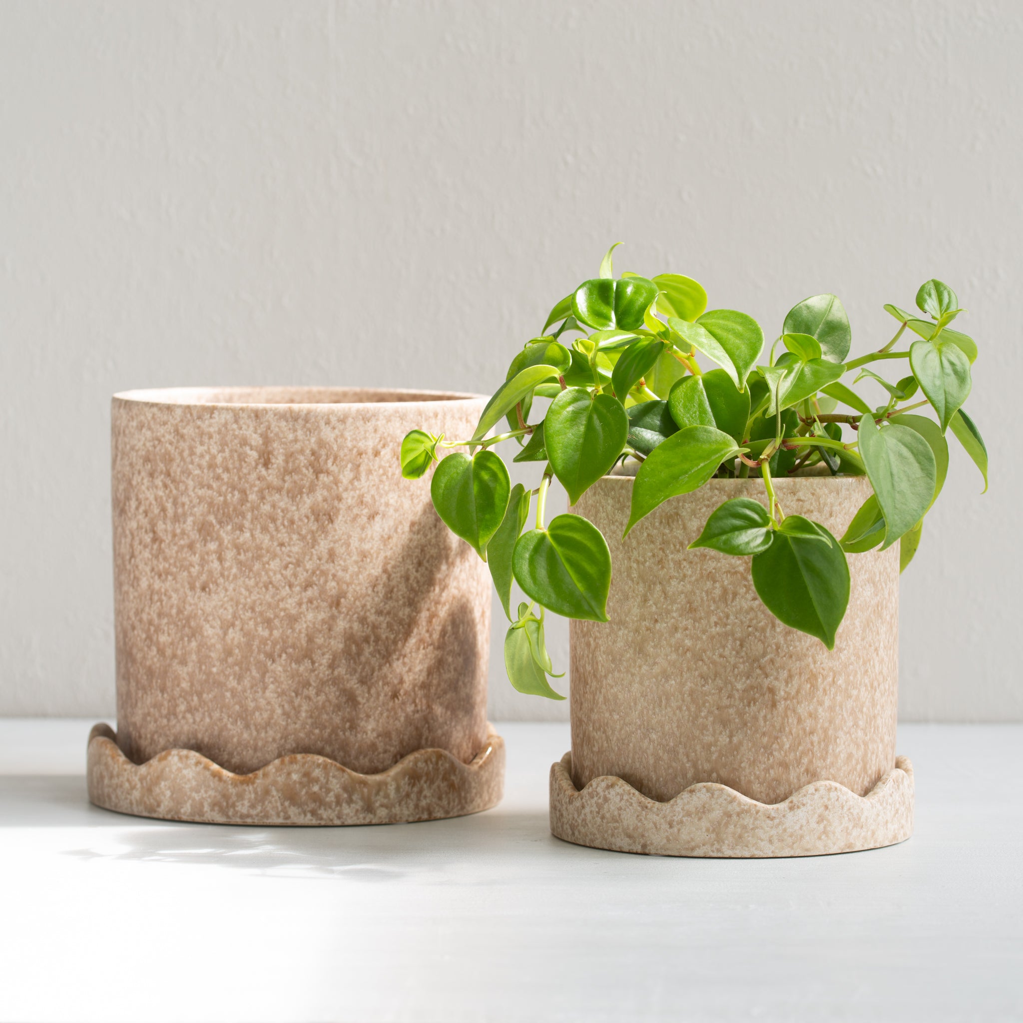 Macey Ceramic Pot w/saucer | Large