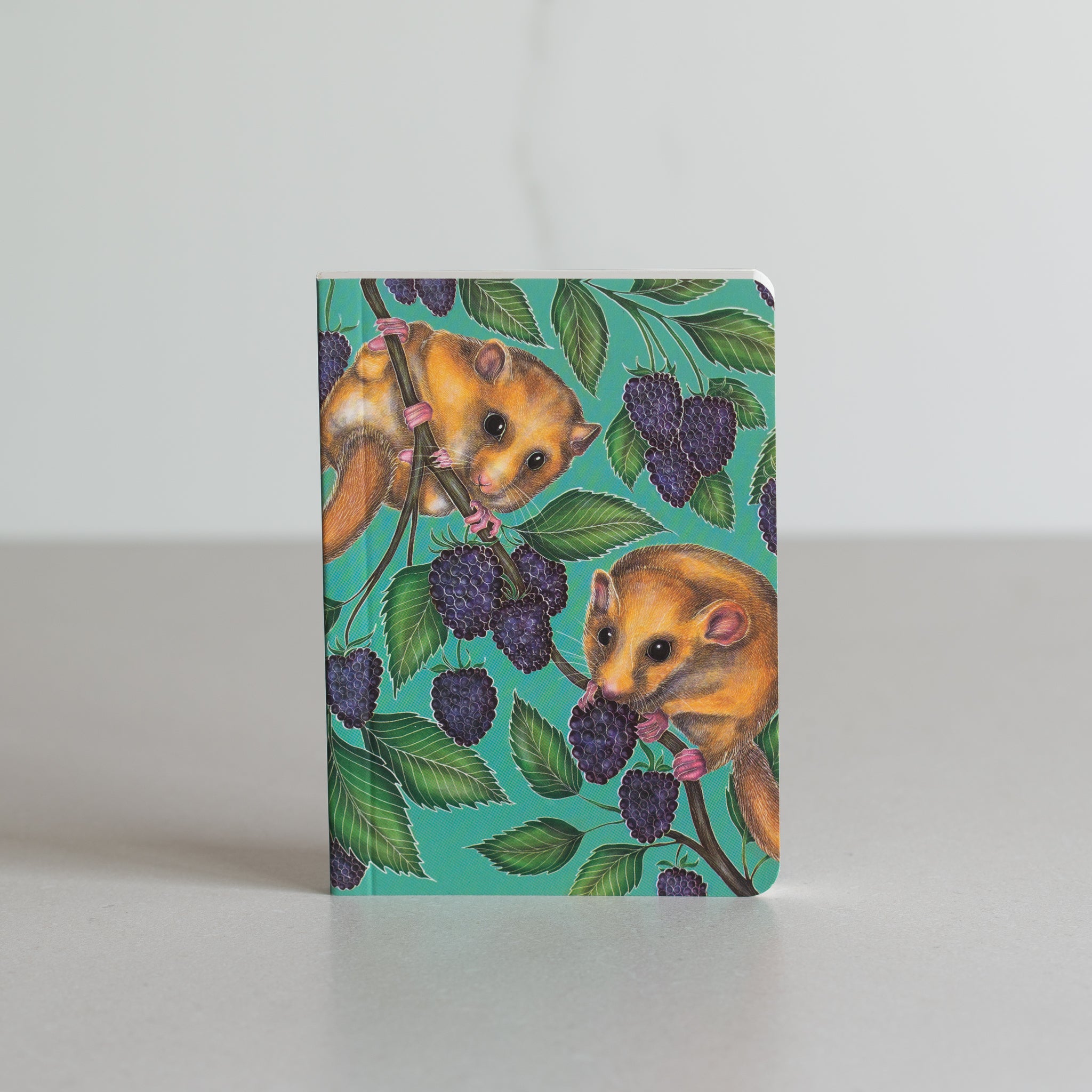 Mini Notebook | Possum