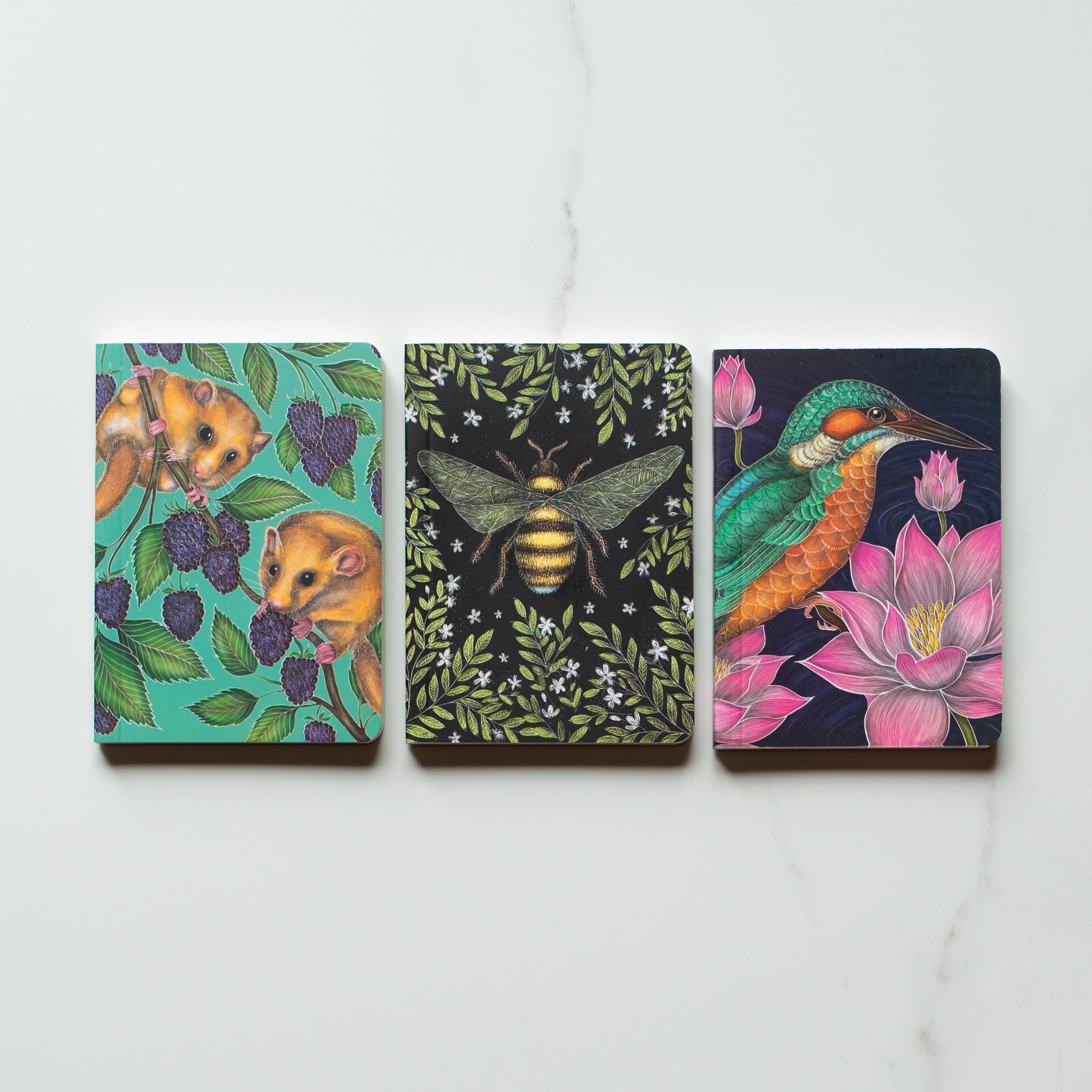 Mini Notebook Set | Catherine Rowe | Animals