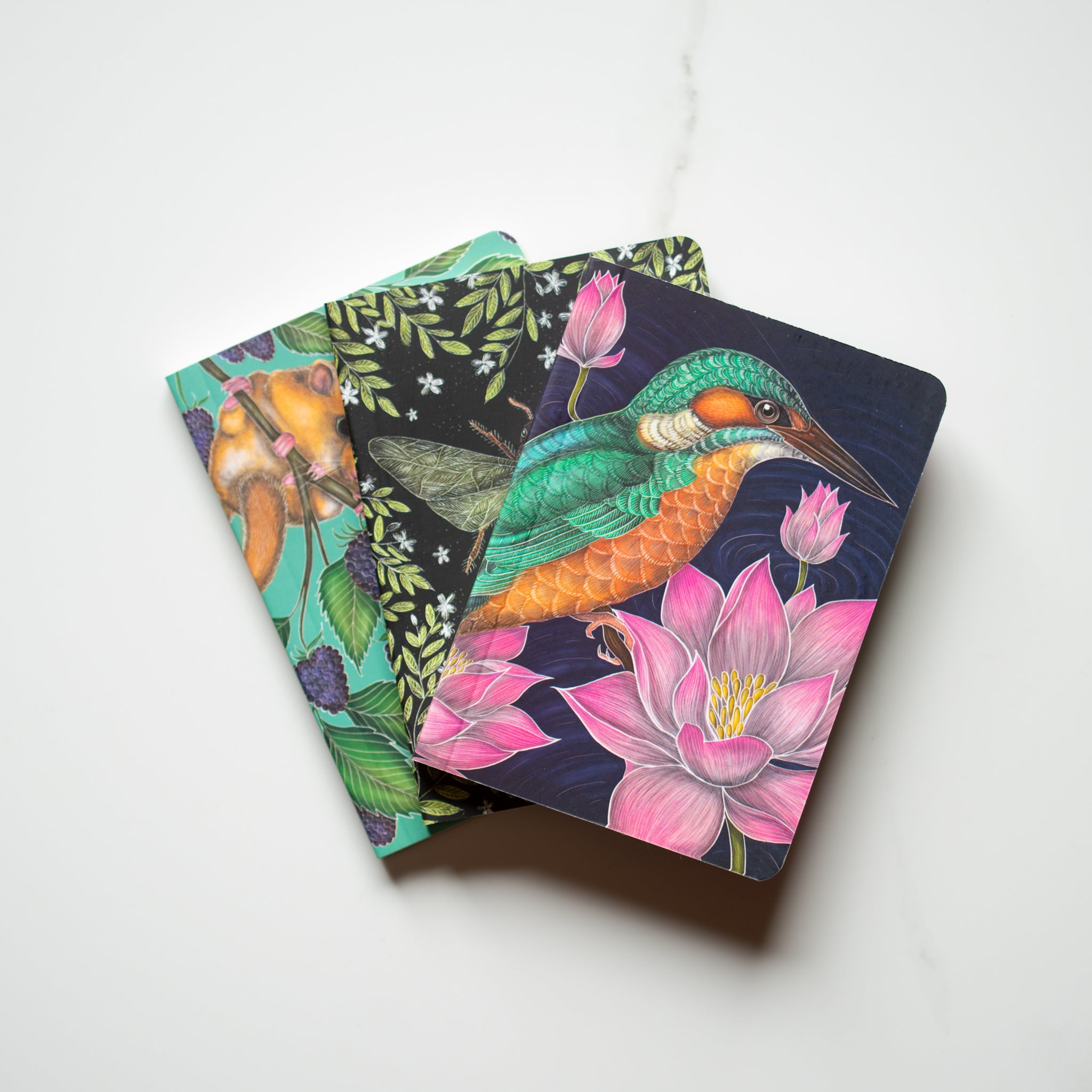 Mini Notebook Set | Catherine Rowe | Animals