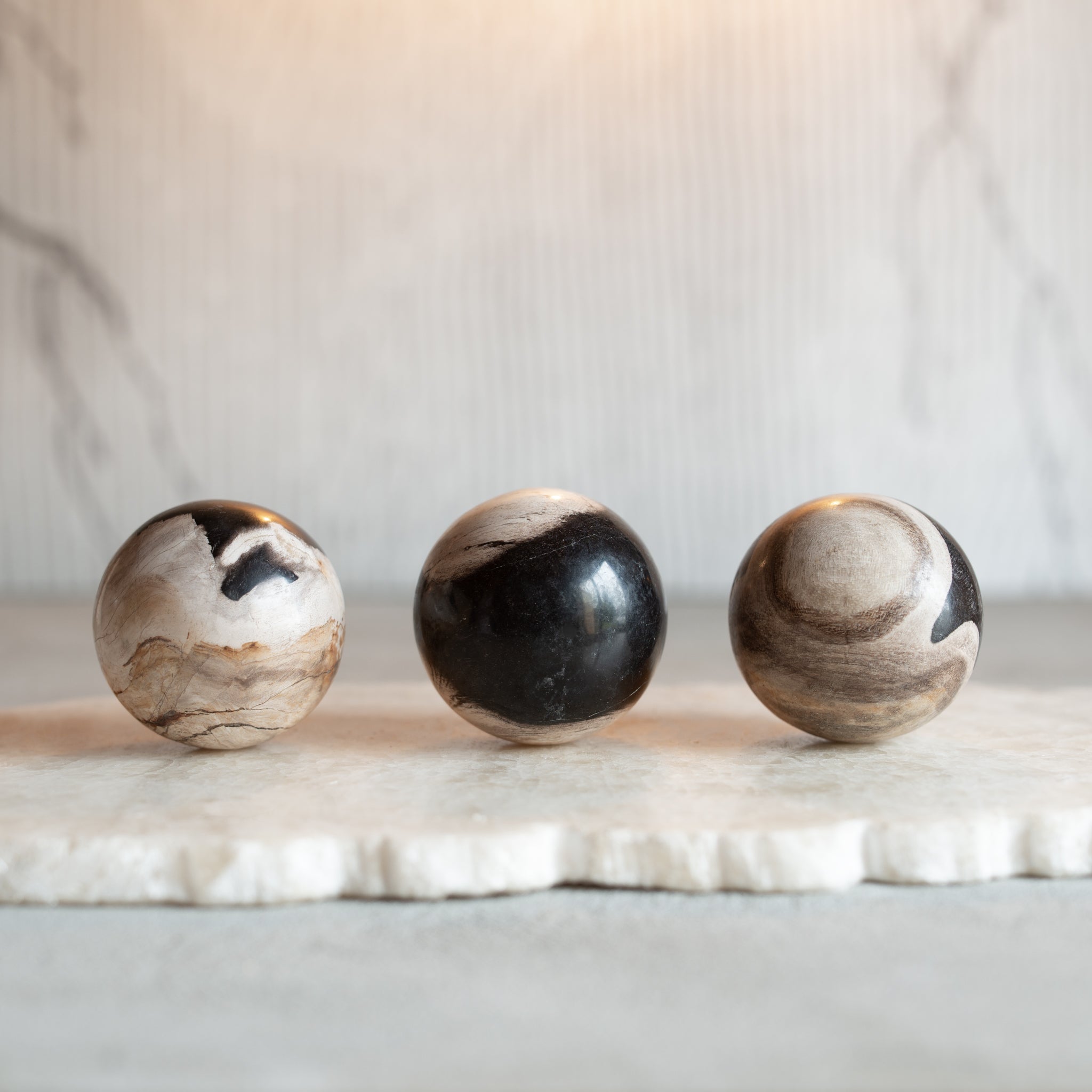 Petrified Wood Balls | Set of Three 'B'(6cm)