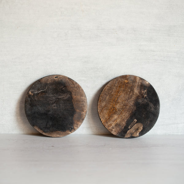 Petrified Wood Coaster Pair | K