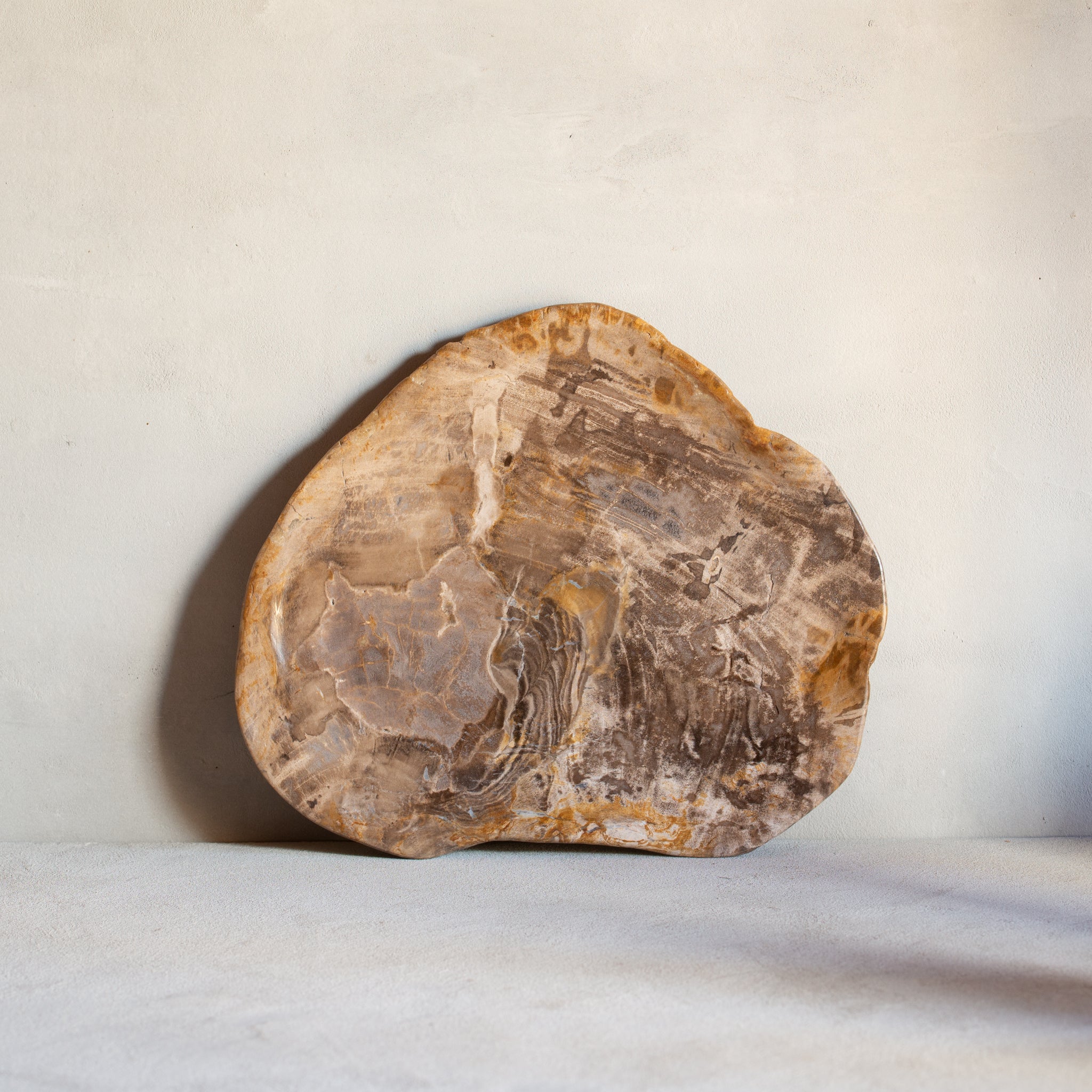 Petrified Wood Plate | Example '10'