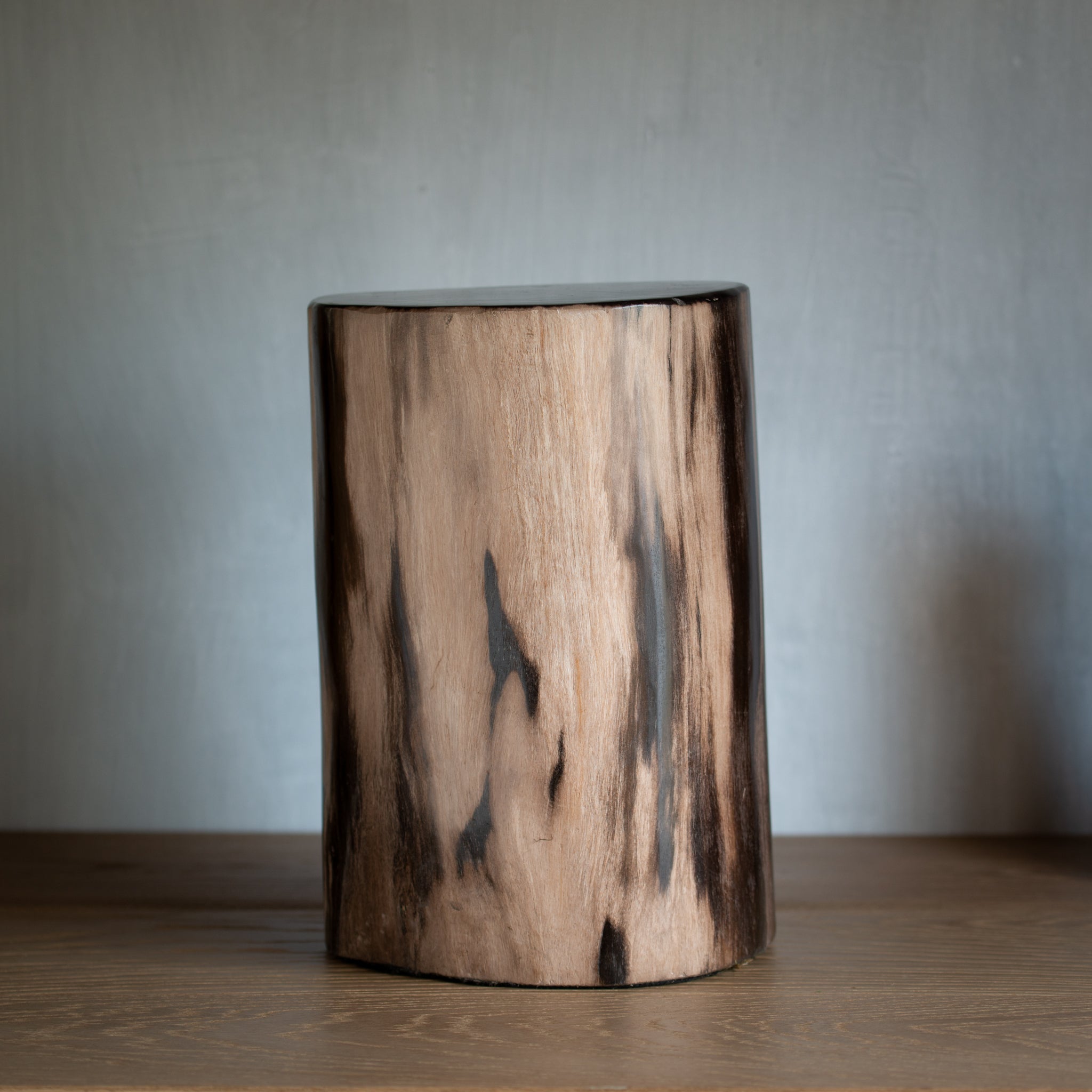 Petrified Wood Plinth | Example 'A'