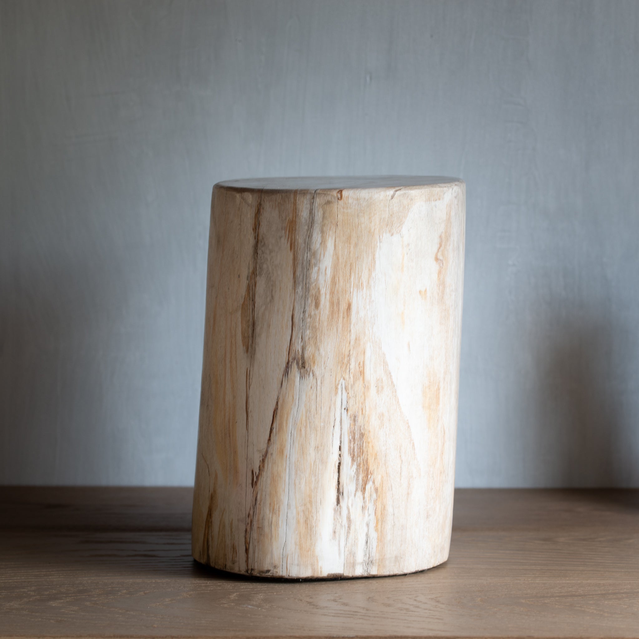 Petrified Wood Plinth | Example 'E'