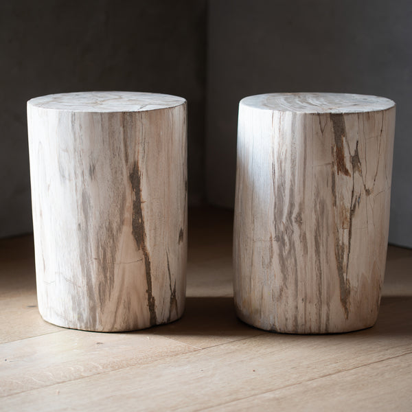 Petrified Wood Plinths | Matched Pair 'G'