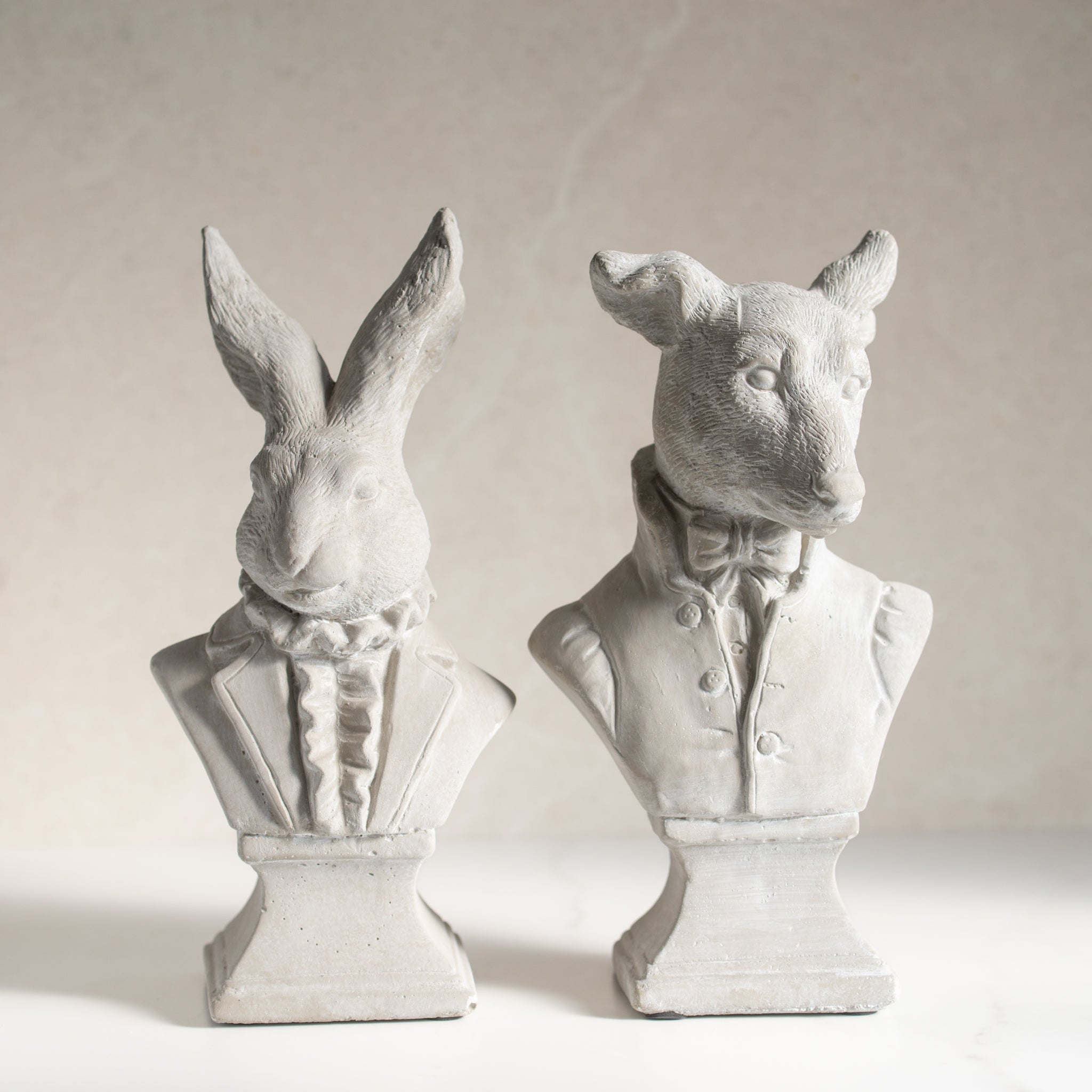 The Dog + The Rabbit