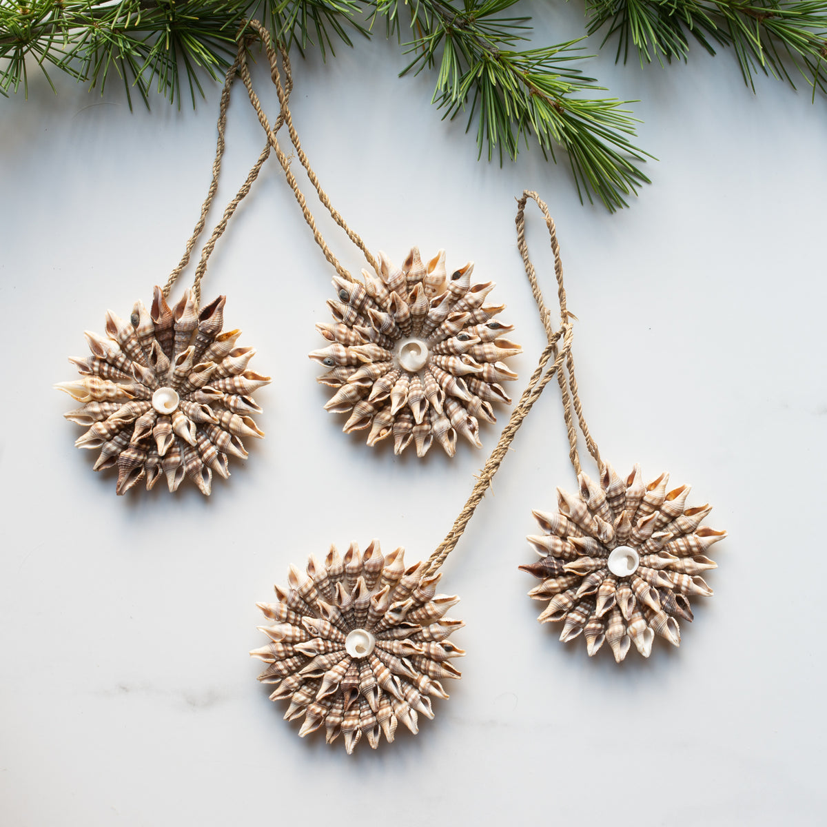 Folklore Shell Decoration | Design H