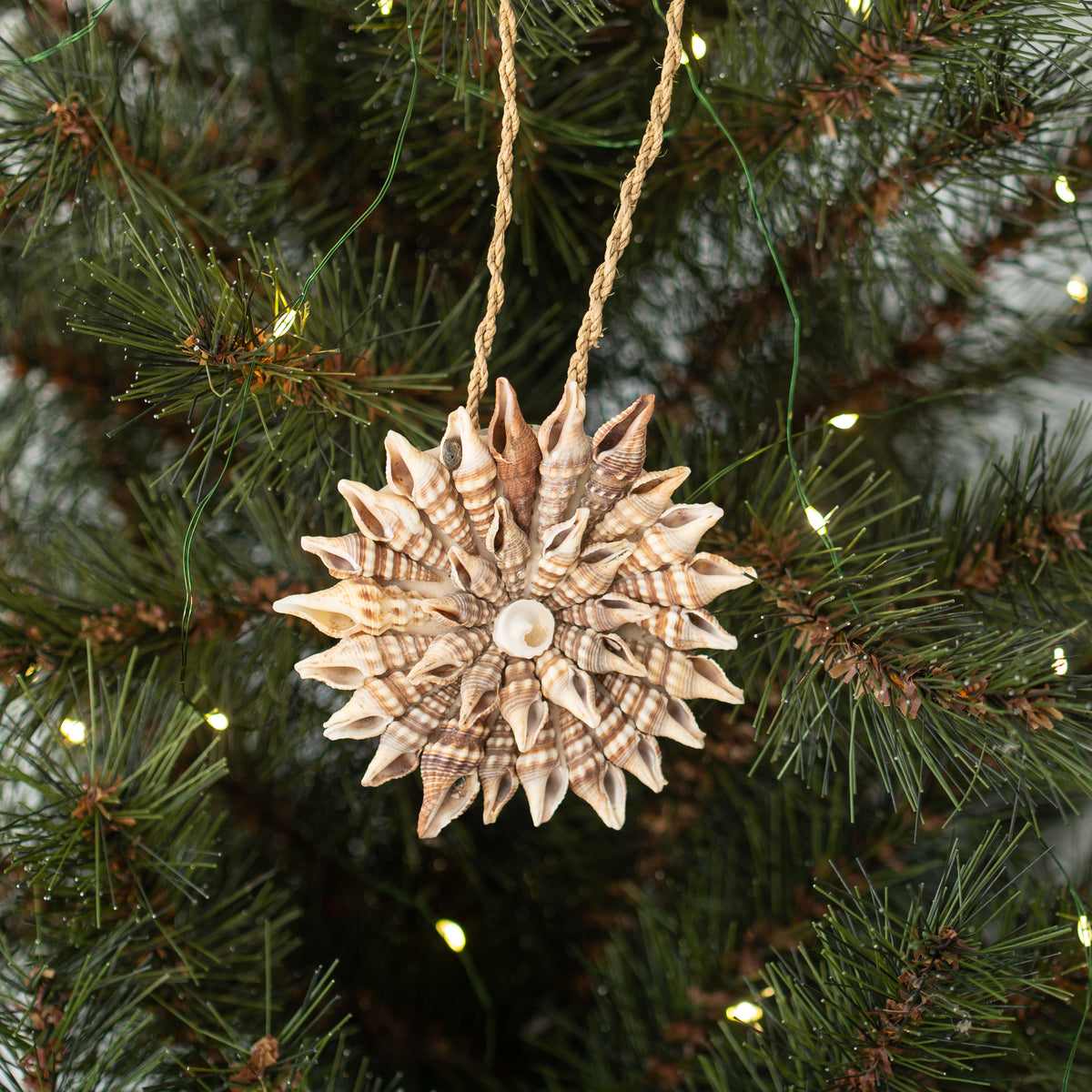 Folklore Shell Decoration | Design H
