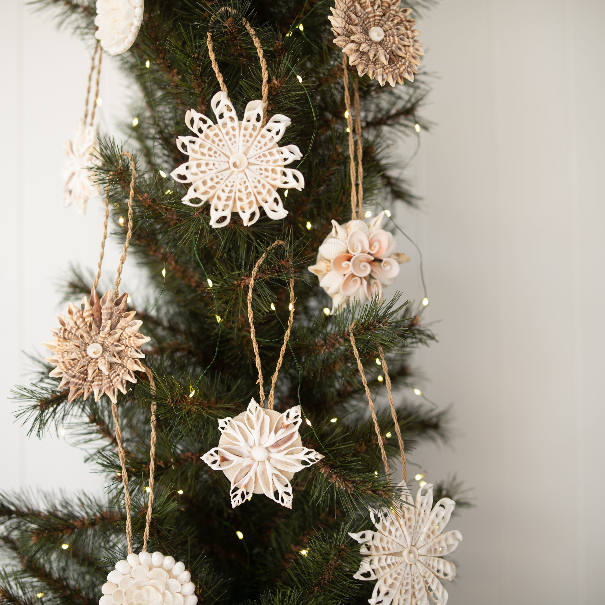 Folklore Shell Decoration | Design A