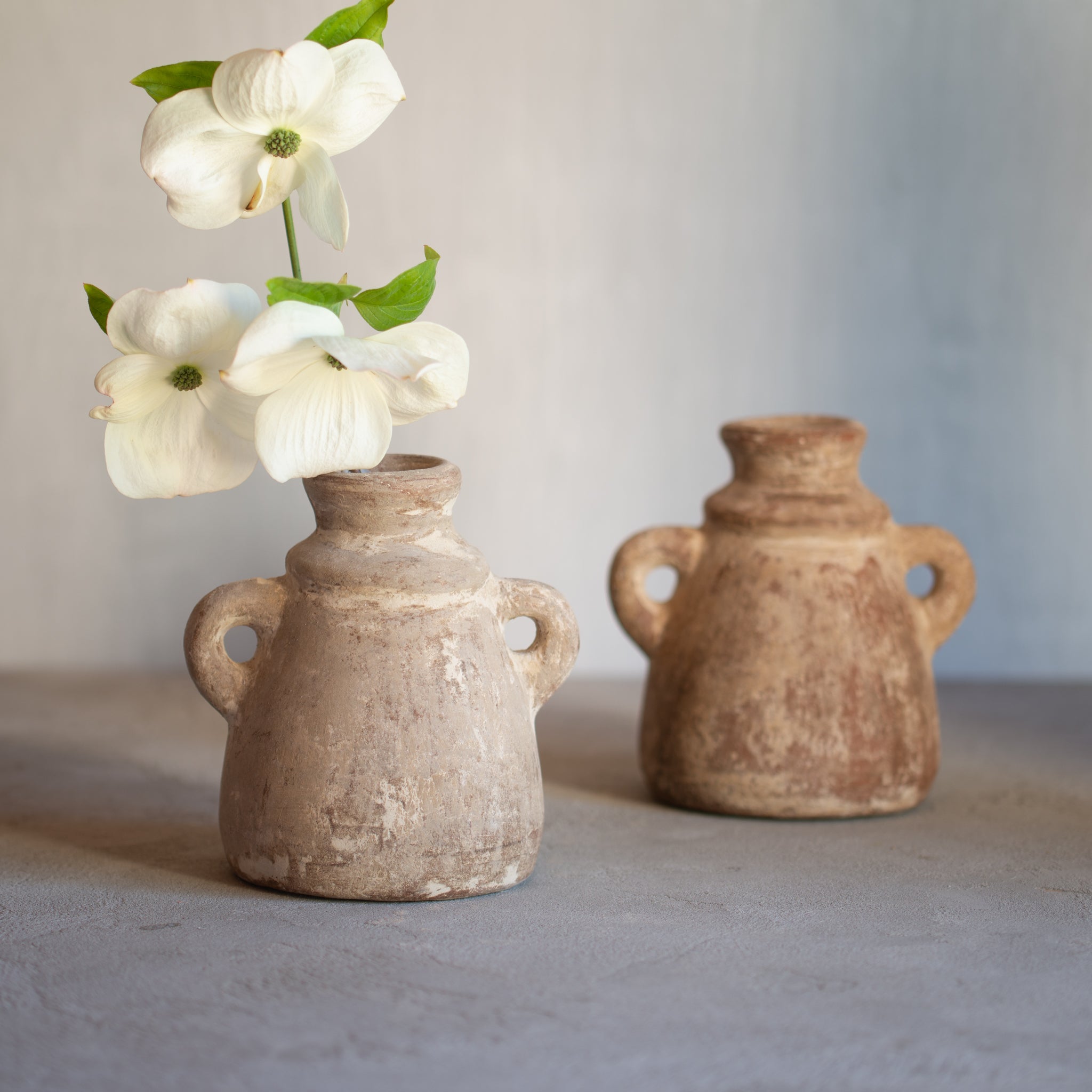 Rustic Terracotta Pot | Little Vase with Handles