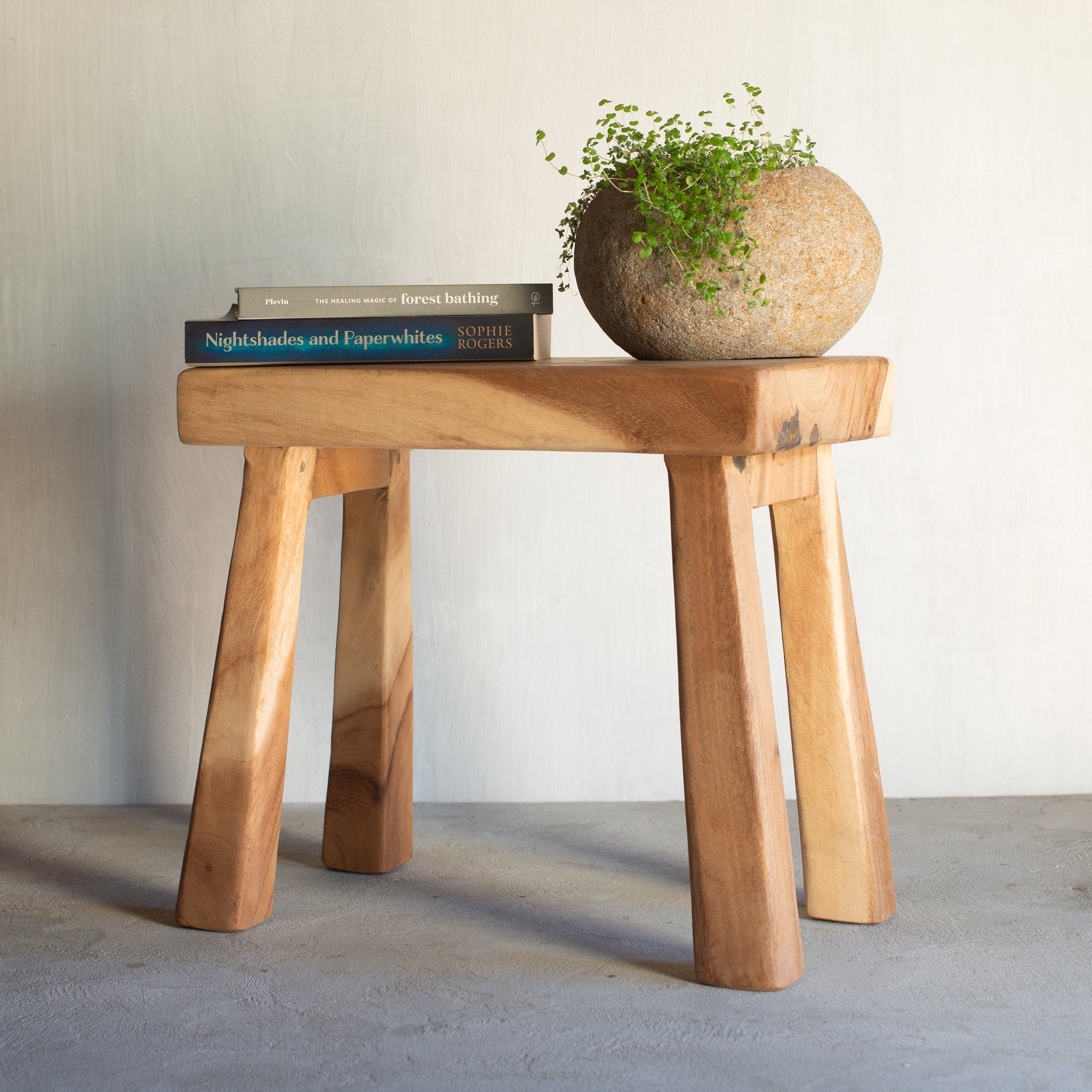 Handmade Stool | Suar Wood | Natural