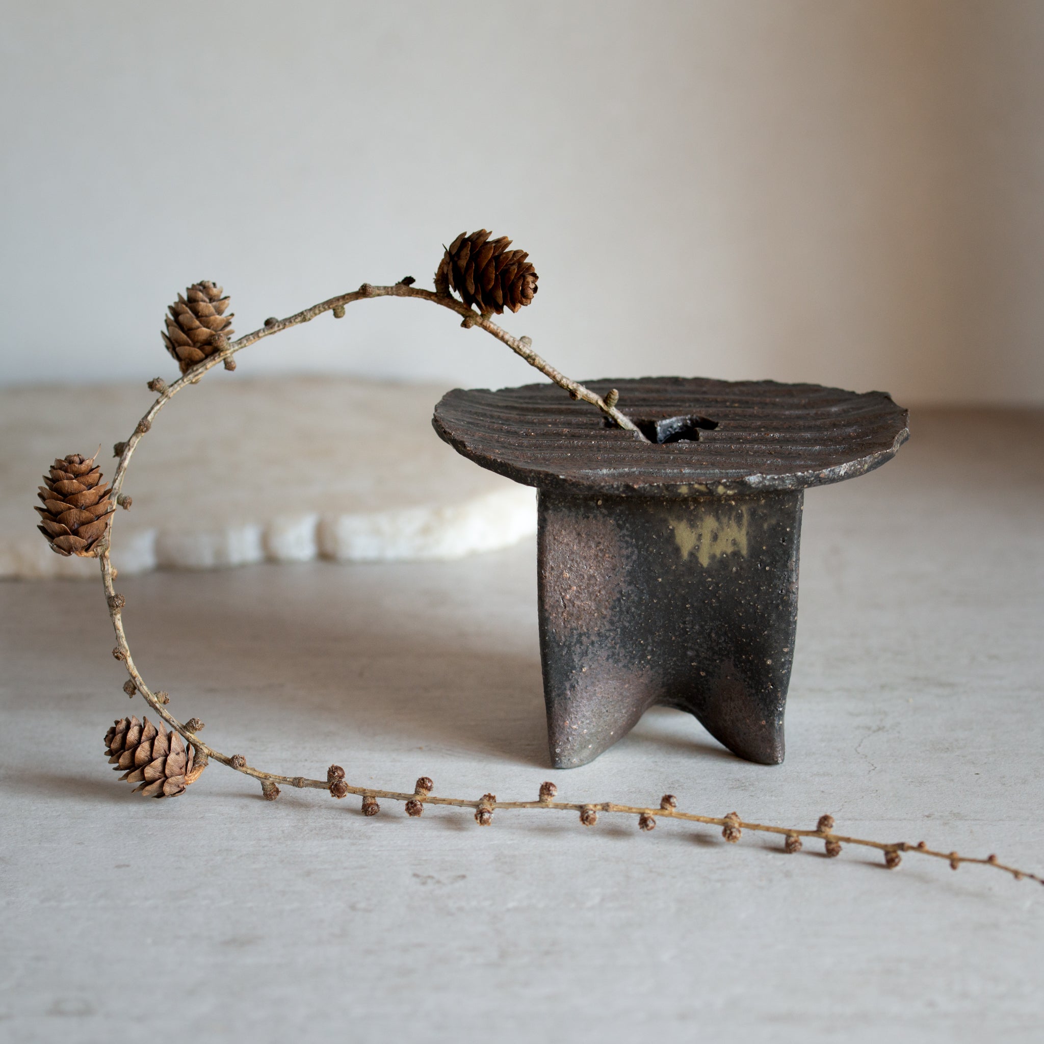 Japanese Ceramics | Shigaraki Vase | Mitsuba