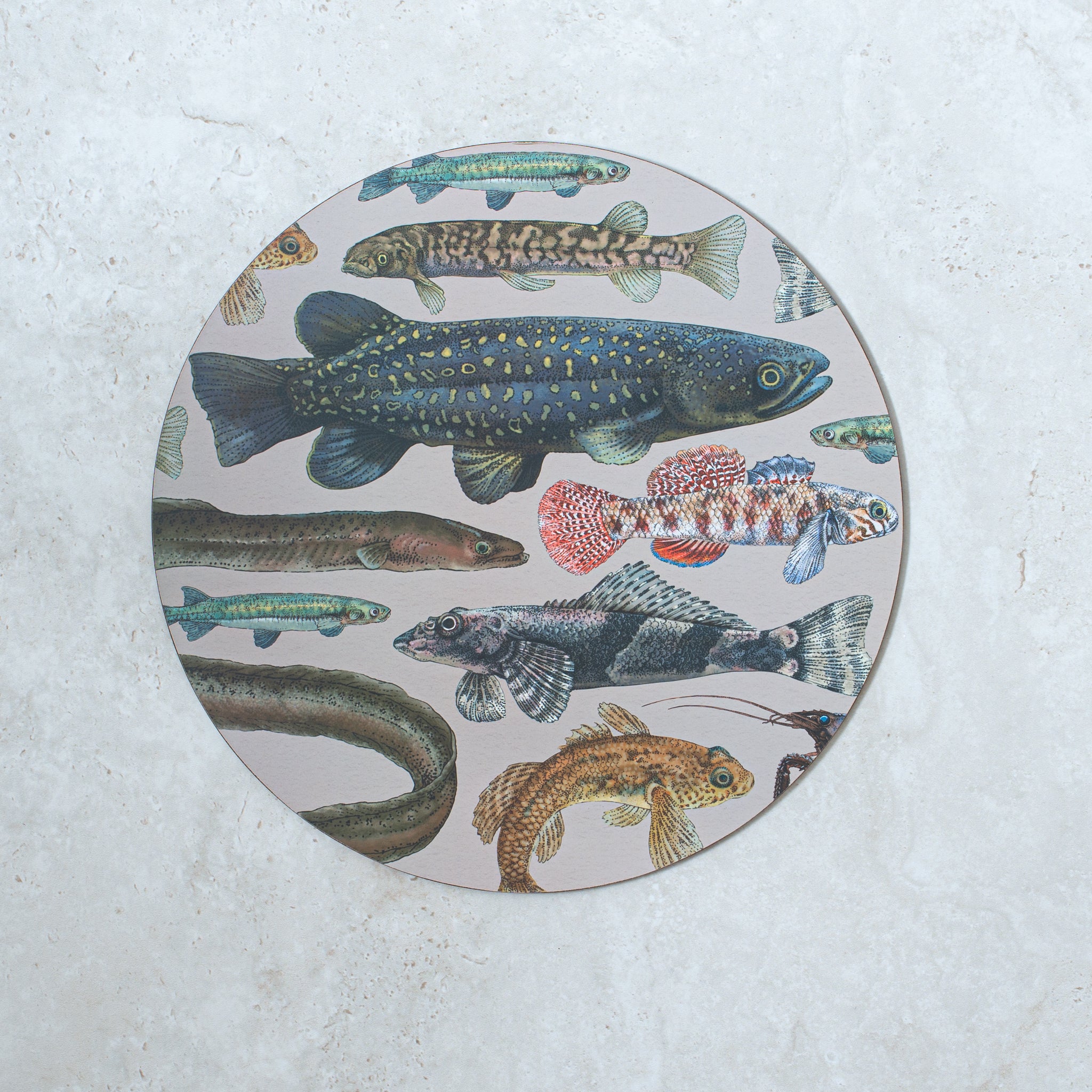 NZ Freshwater Fish Placemat