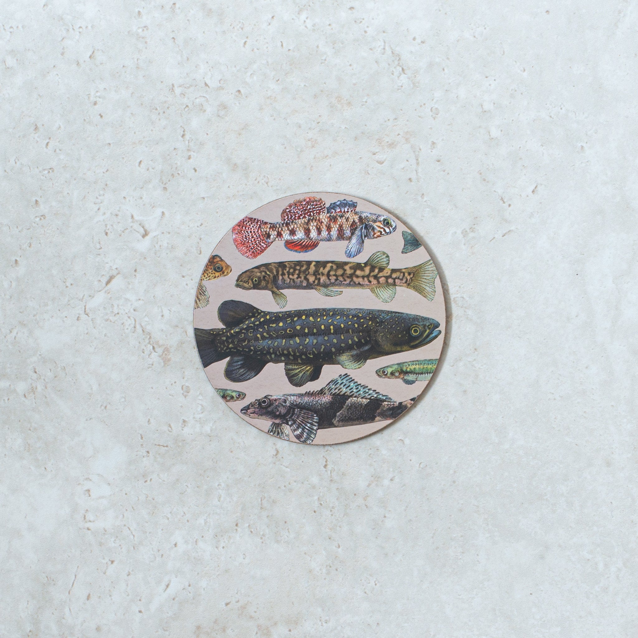 NZ Freshwater Fish Coaster