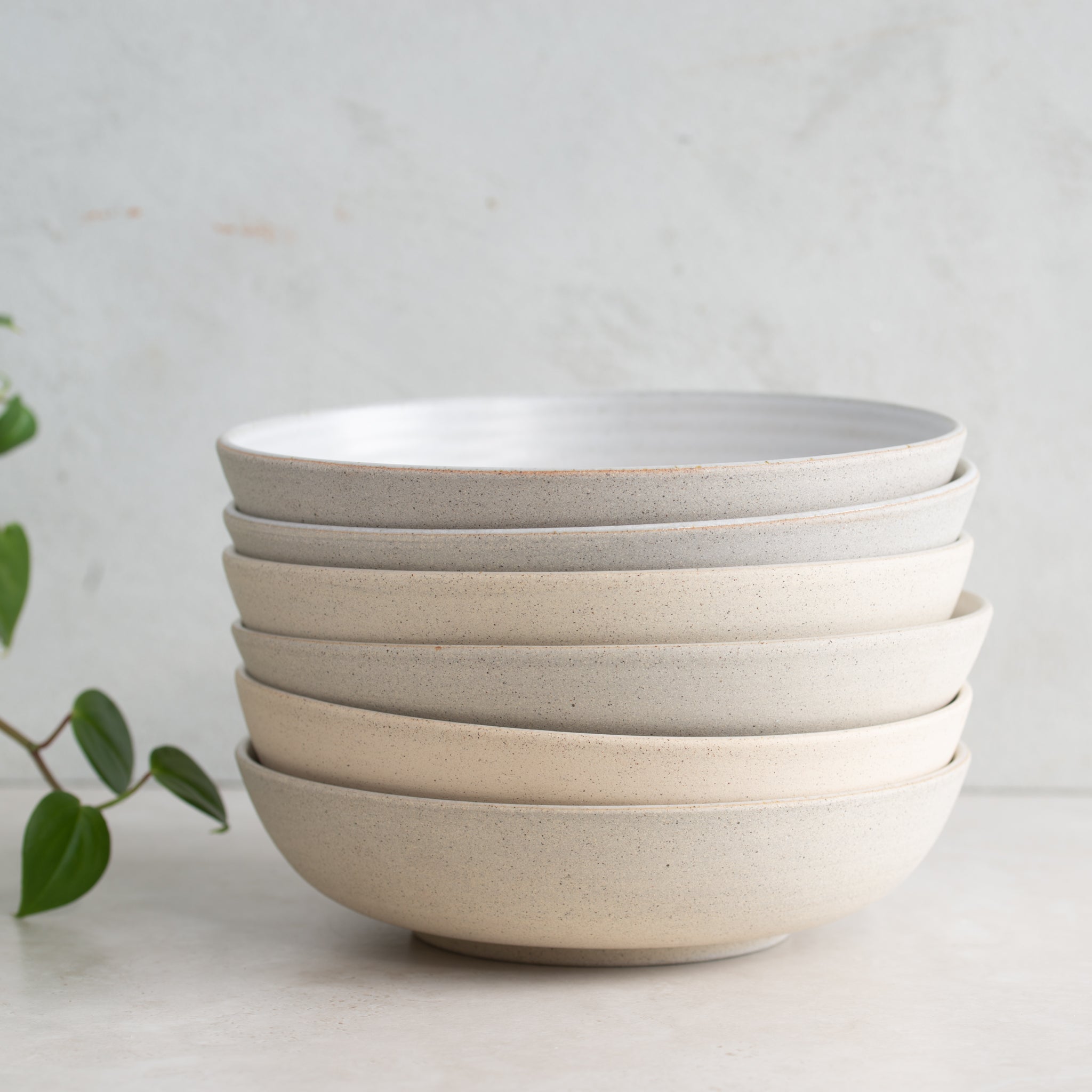 Shallow Ceramic Bowl