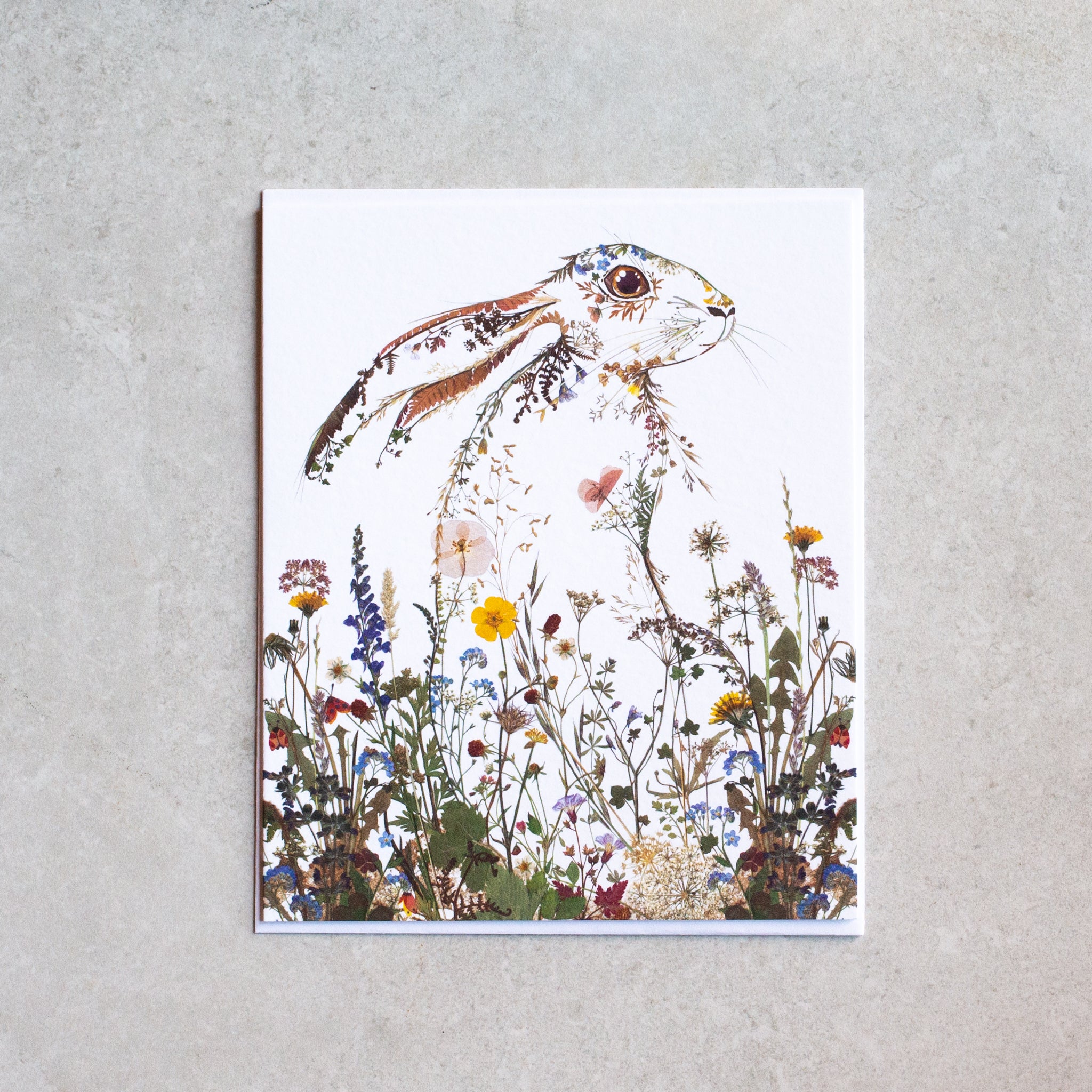 Greeting Card | hare