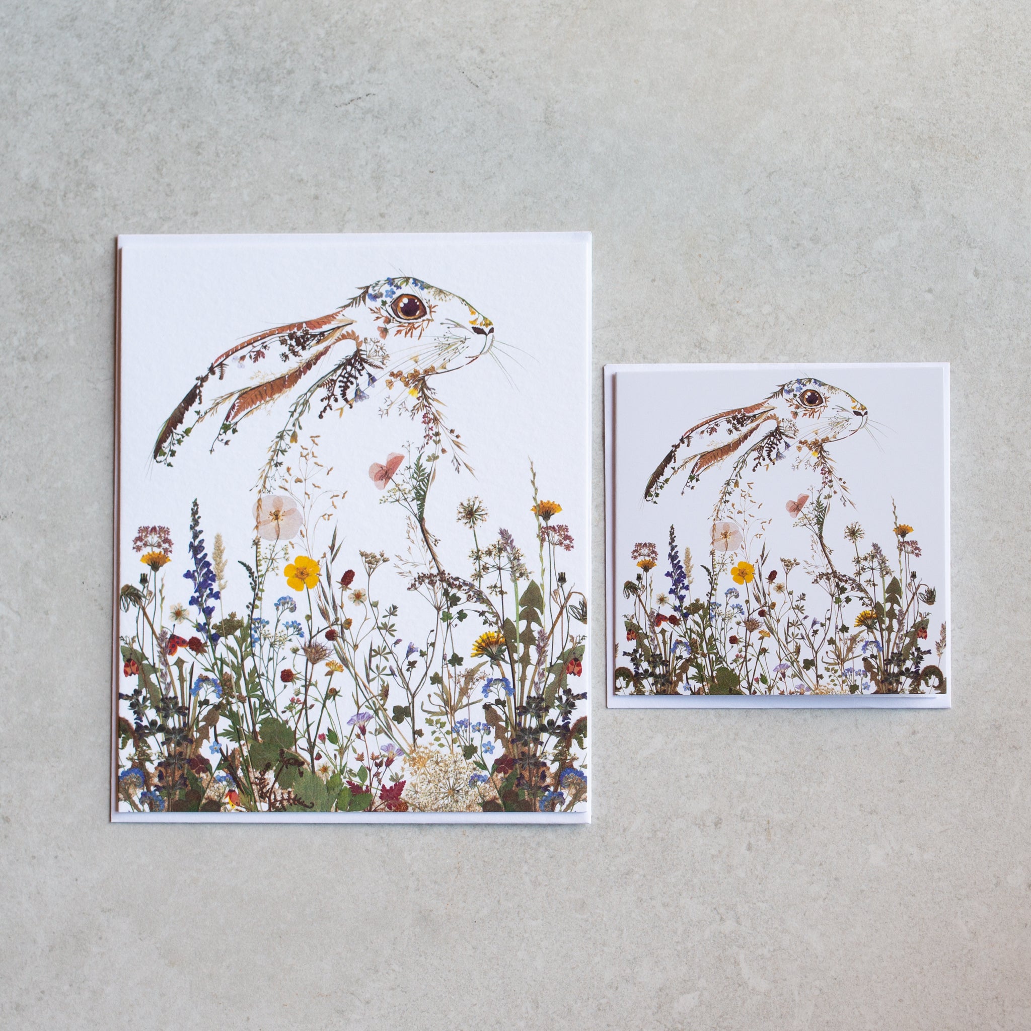 Greeting Card | hare