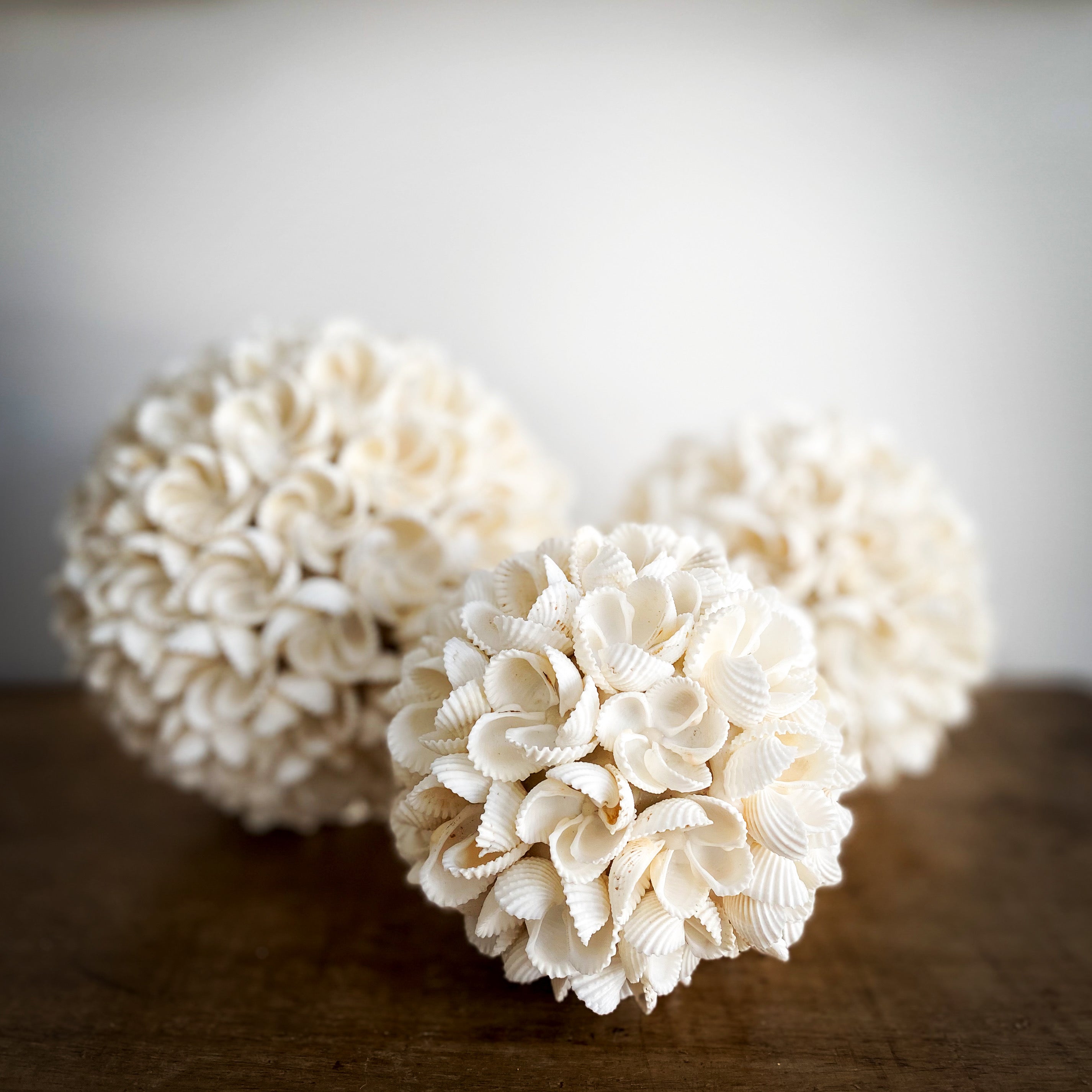 Shell Balls | Set Of Three