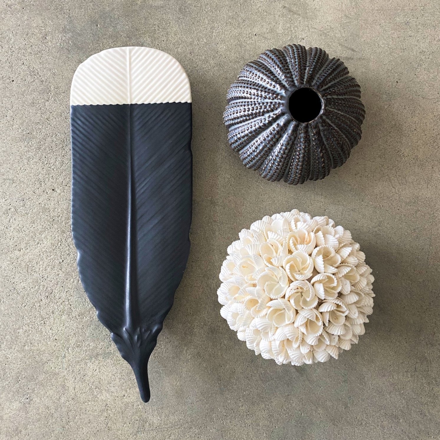 Huia Feather Wall Decoration | Small