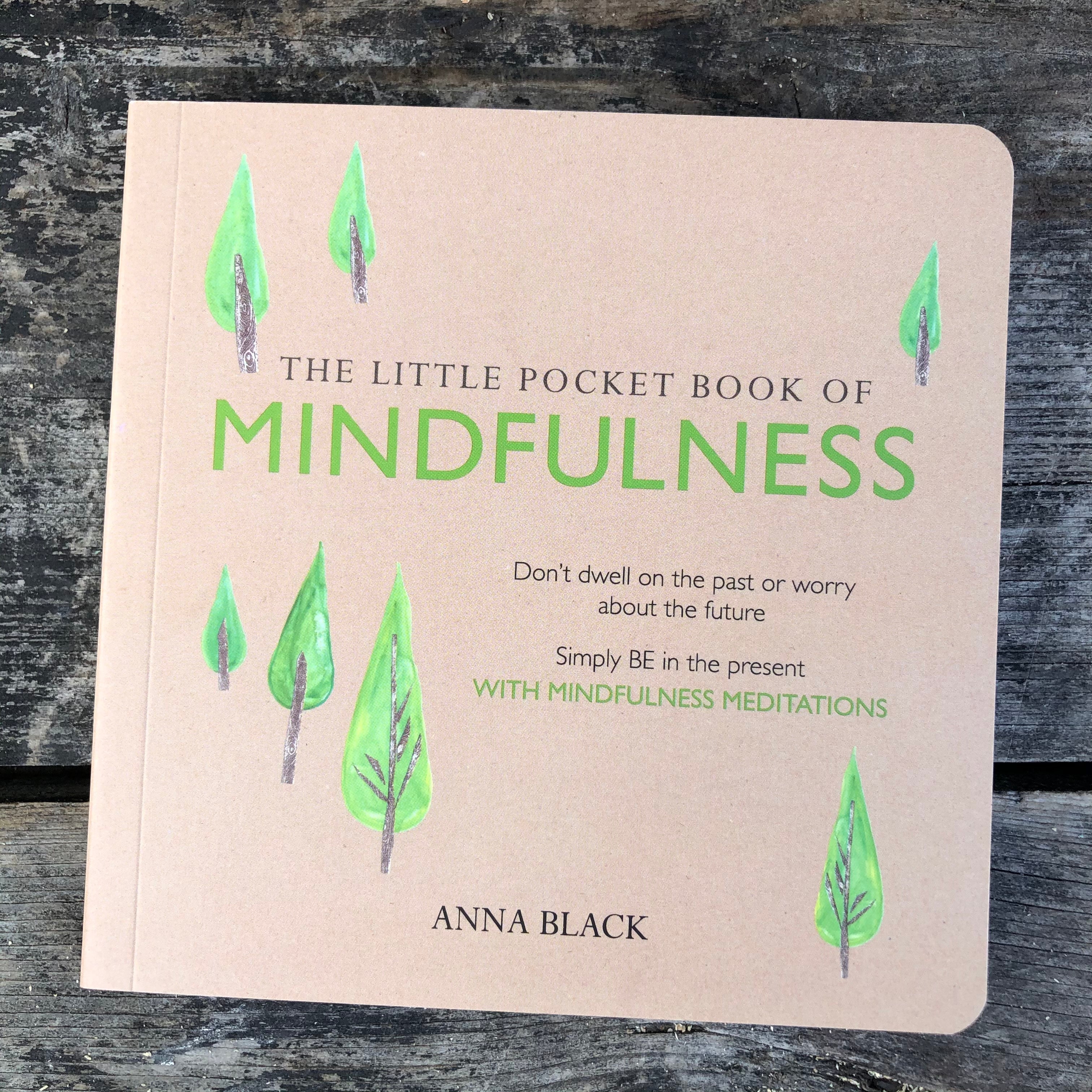 Book | Little Pocket Book of Mindfulness