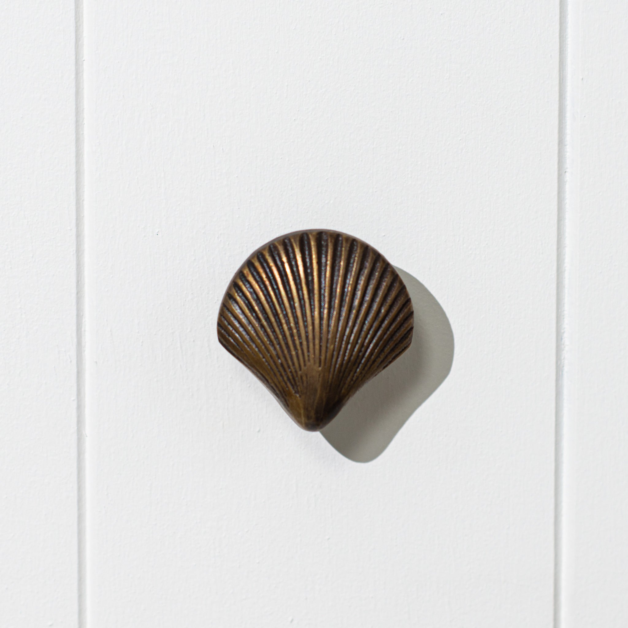 Brass Drawer Knob | Scallop Shell