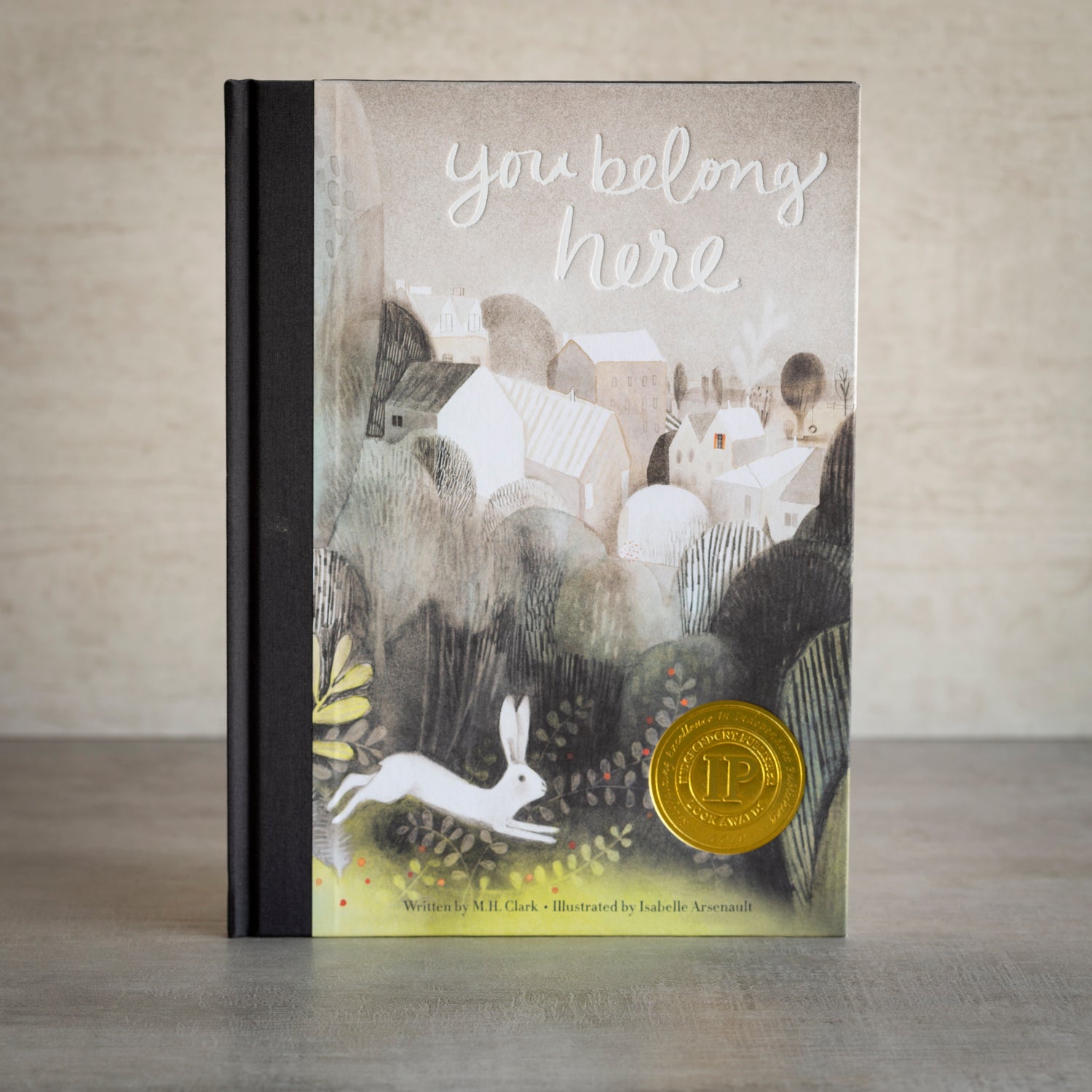 Children’s Book | You Belong Here