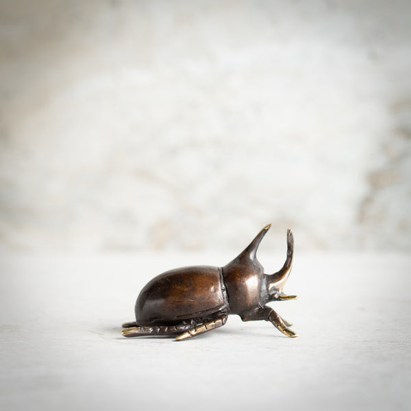 Bronze Rhino Beetle | Antique Finish