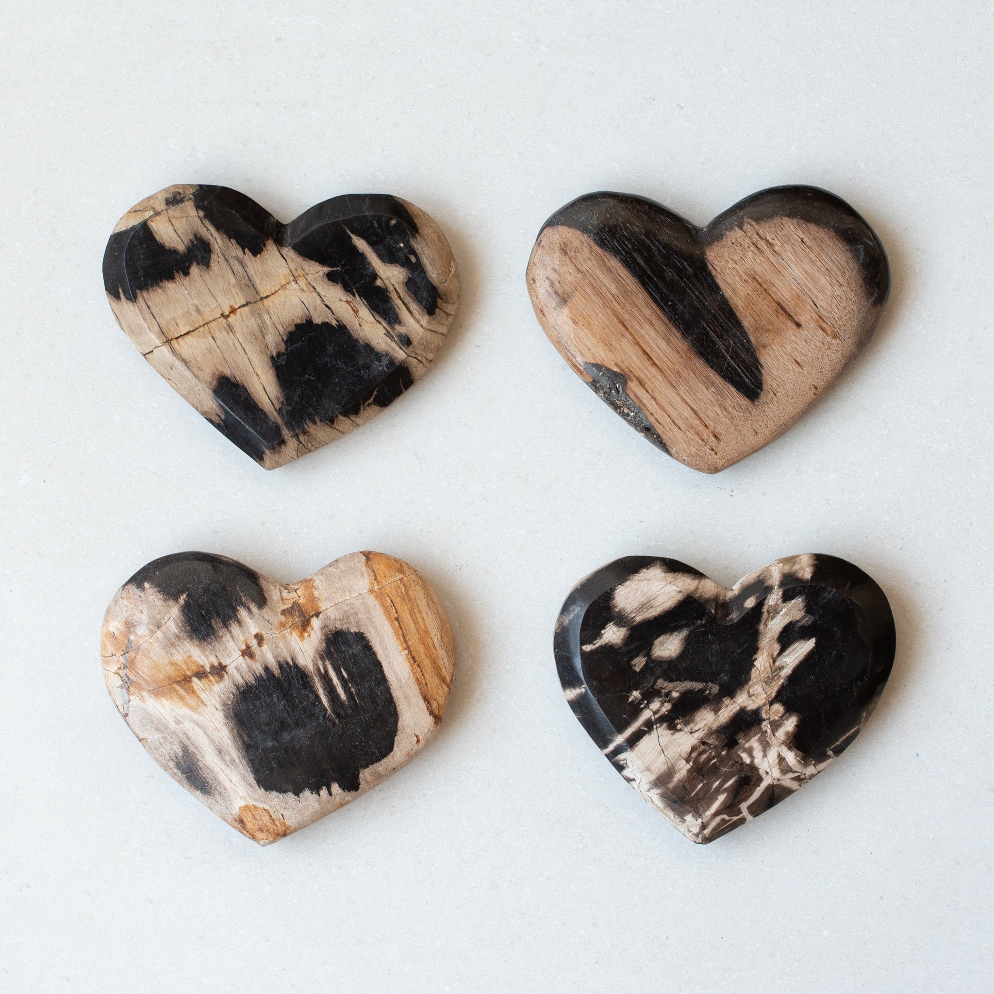 Petrified Wood Love Hearts | Small