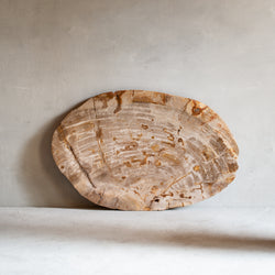 Petrified Wood Plate | Example '6'