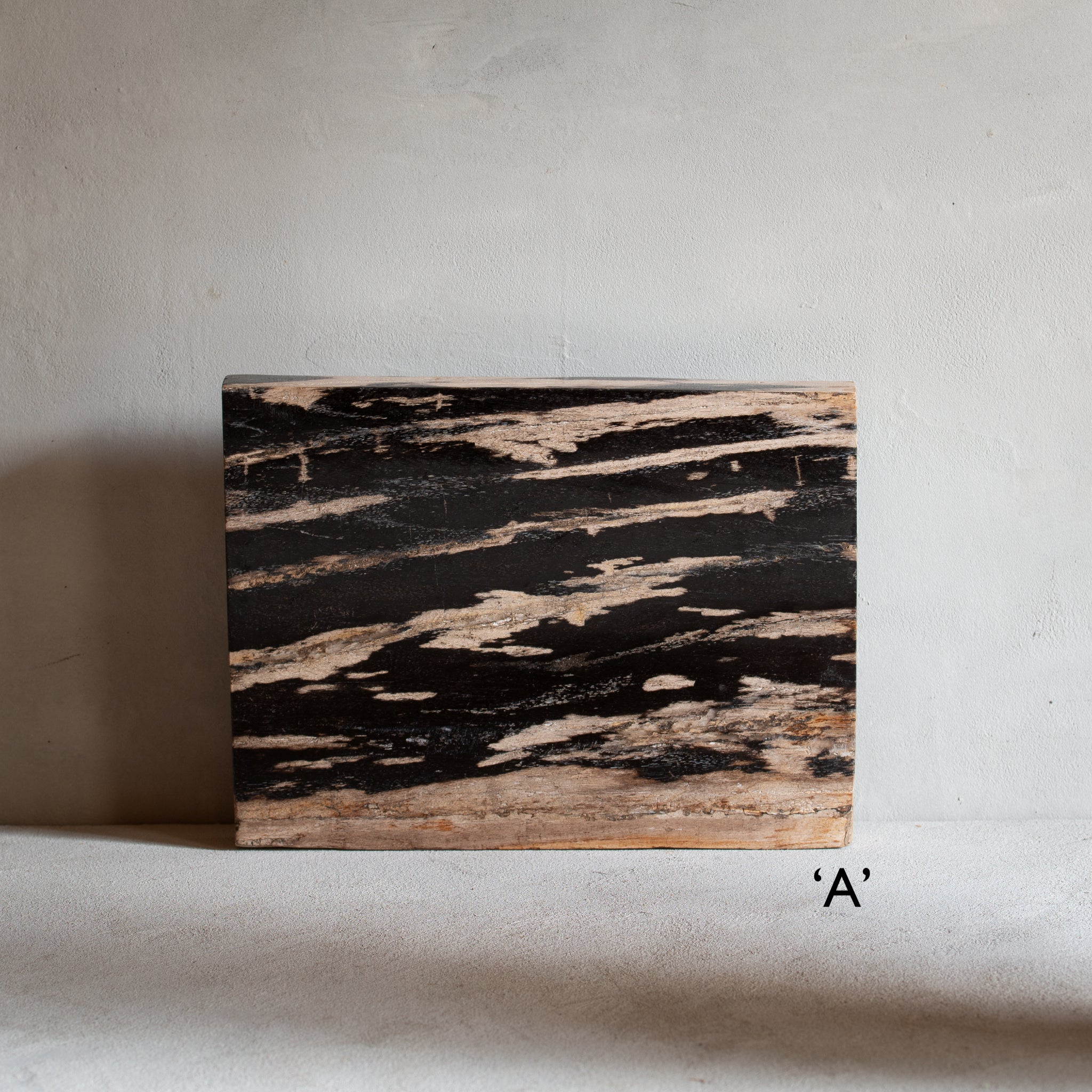 Petrified Wood Slab | Rectangle