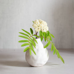 Alix Vase | Matte White